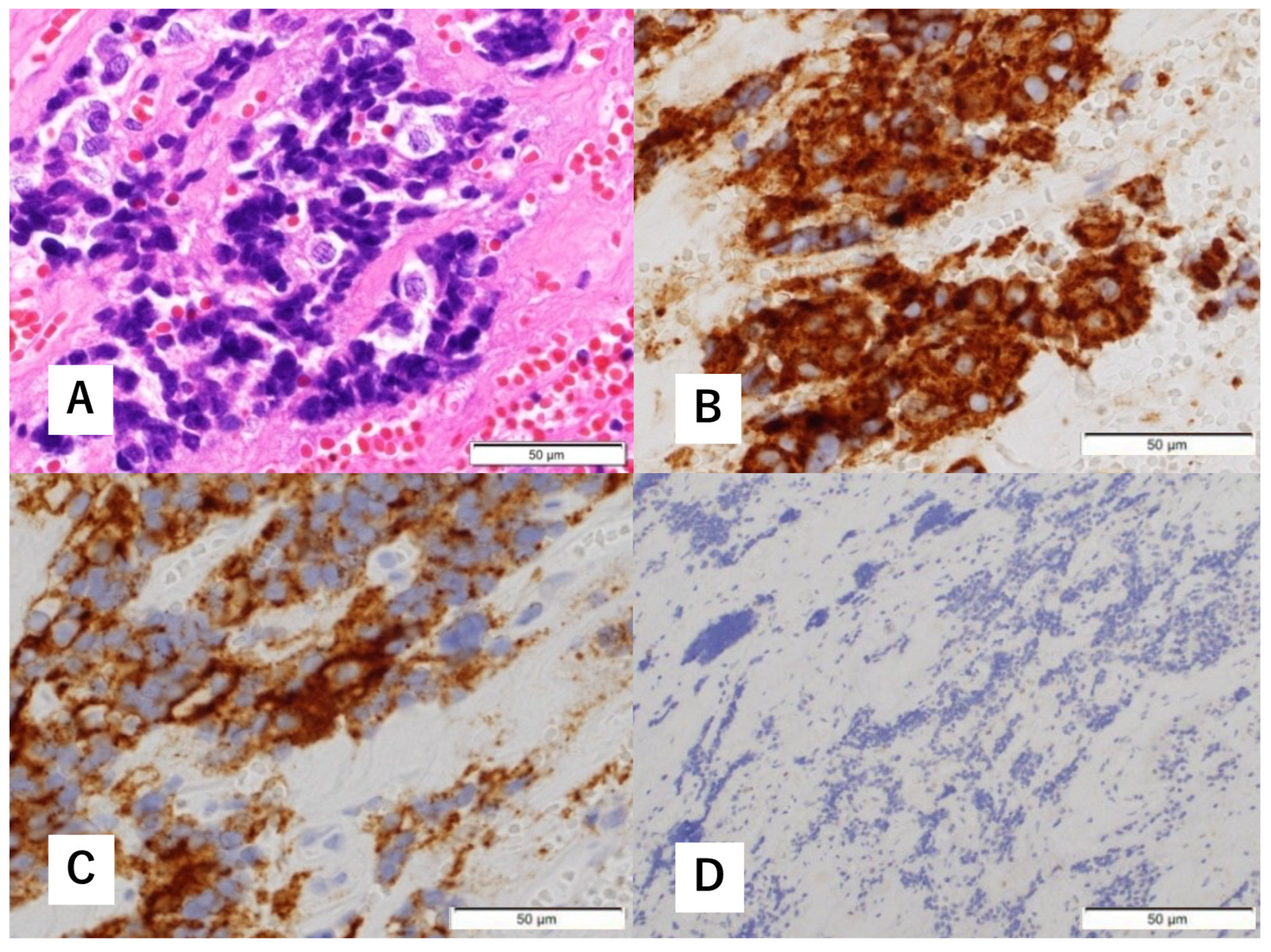 Diagnostics 12 01674 g006