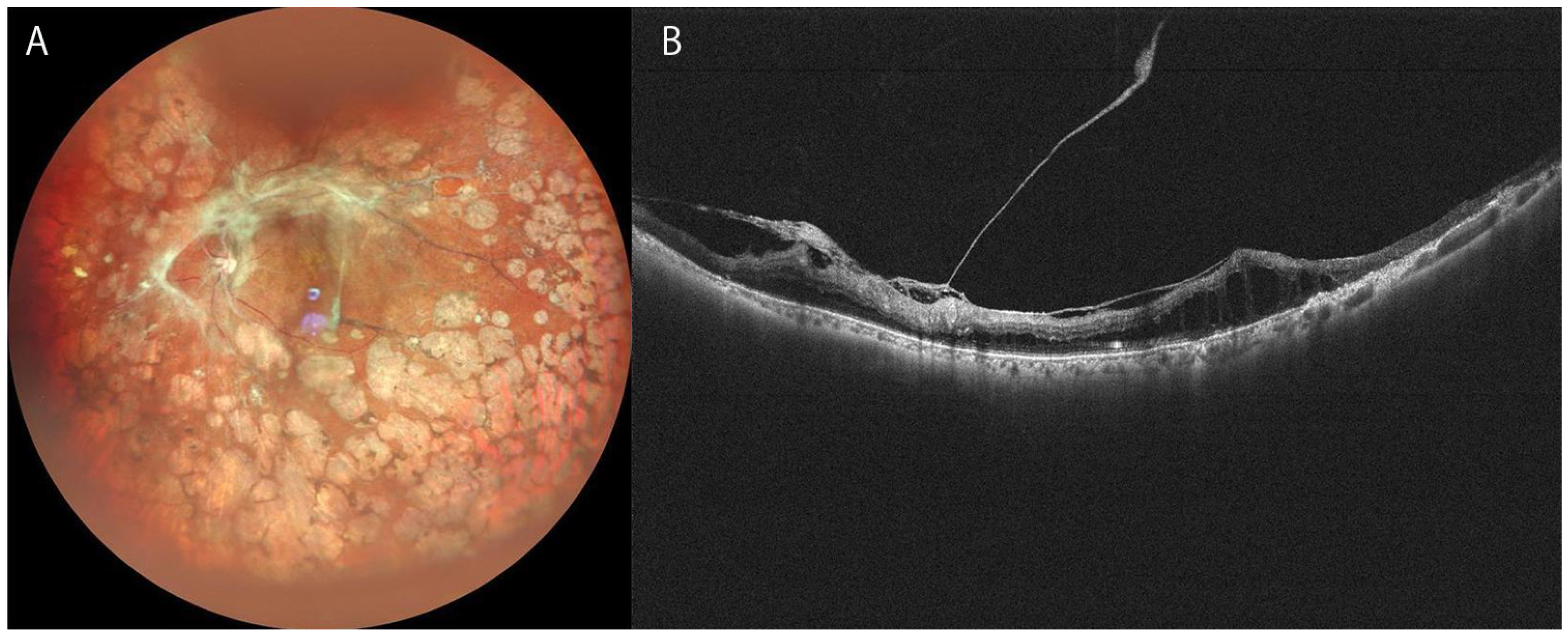 Diagnostics 12 01684 g001 550