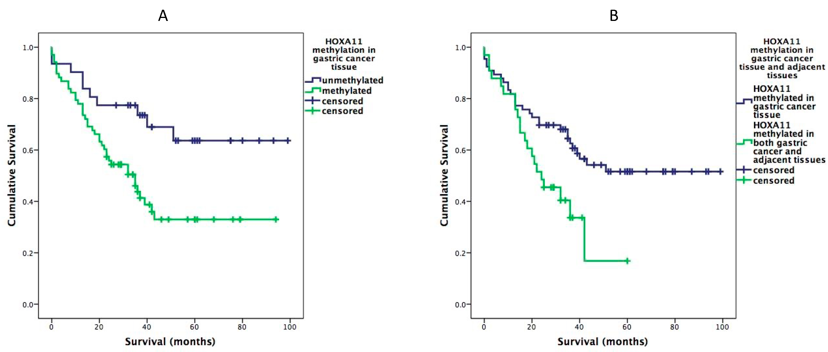 Diagnostics 12 01686 g001