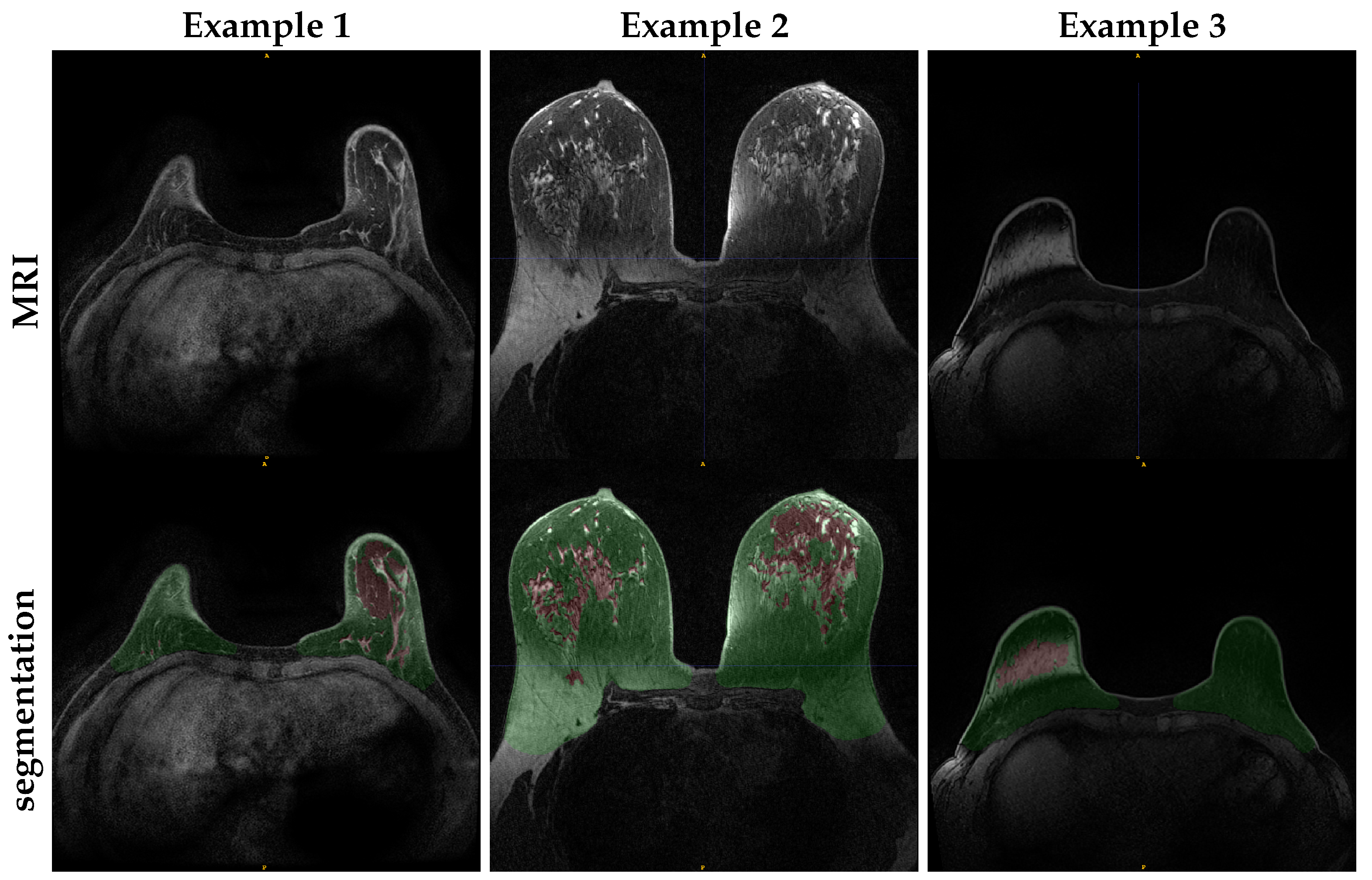 Diagnostics 12 01690 g007 550