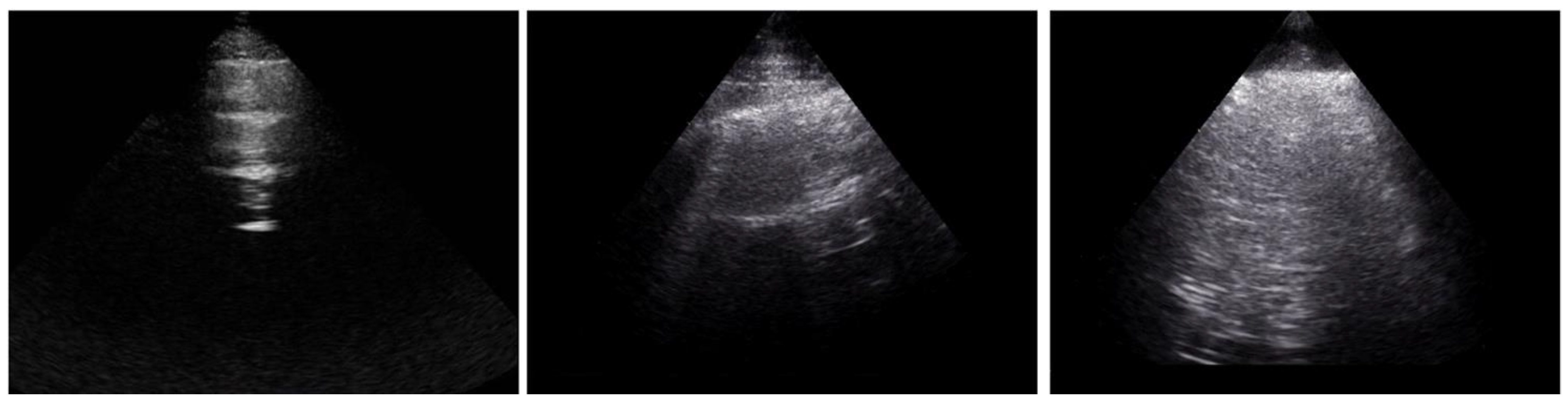 Diagnostics 12 01696 g001 550