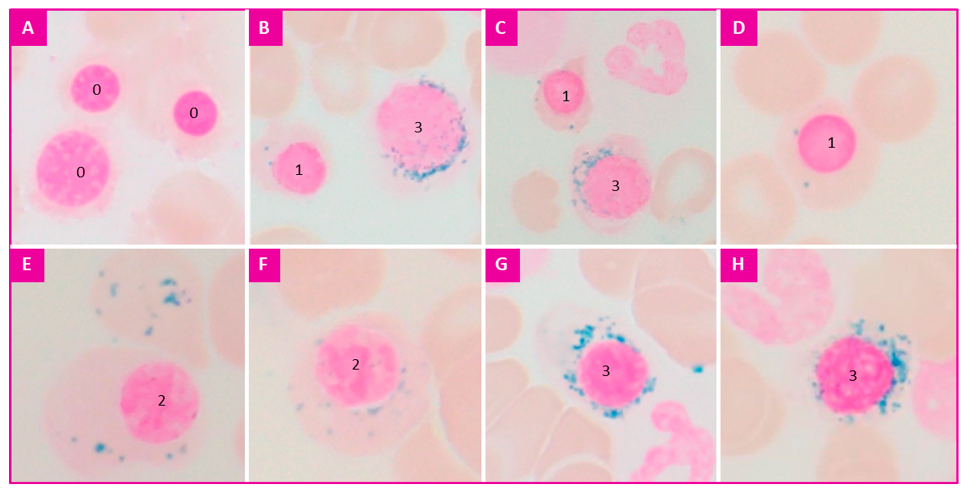 Diagnostics 12 01698 g001