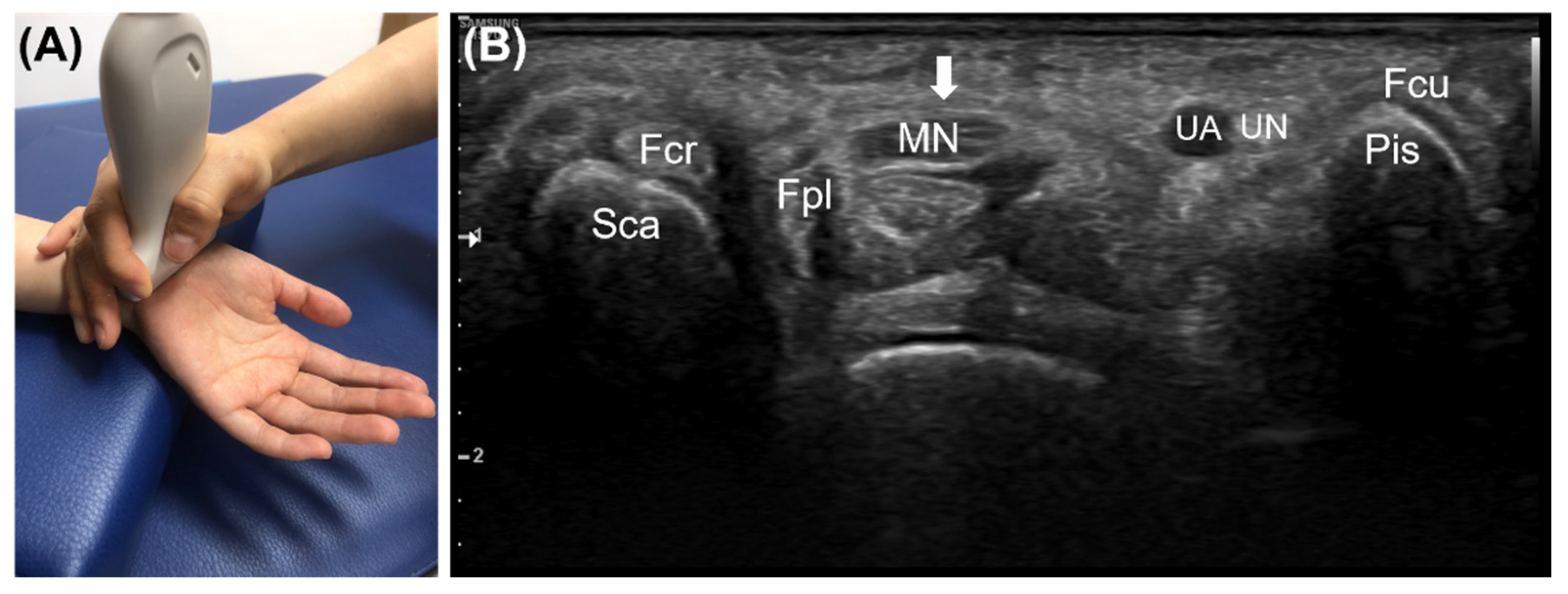 Diagnostics 12 01707 g001 Diagnostics 12 01707 g001