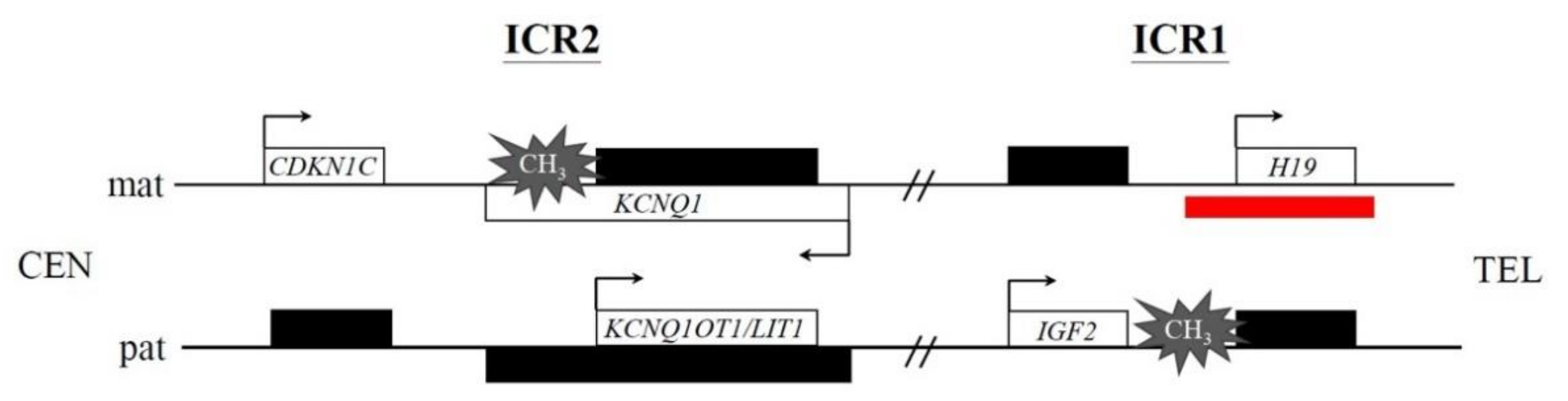 Diagnostics 12 01709 g001 Diagnostics 12 01709 g001