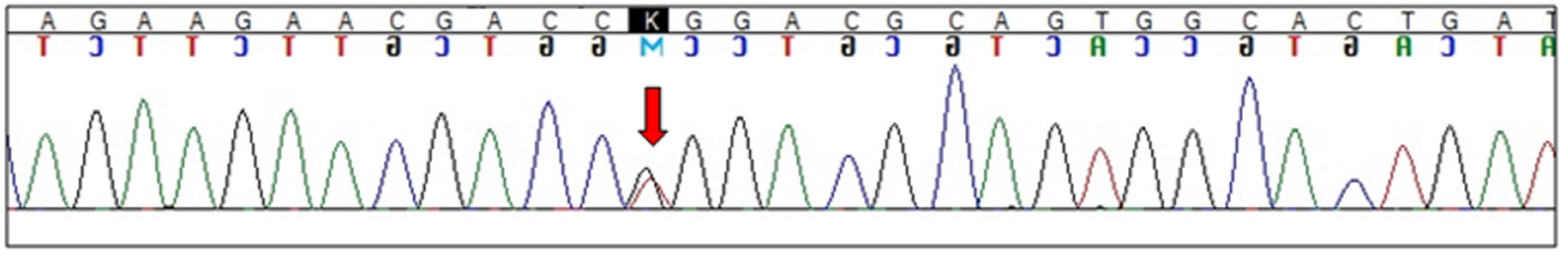 Diagnostics 12 01711 g003