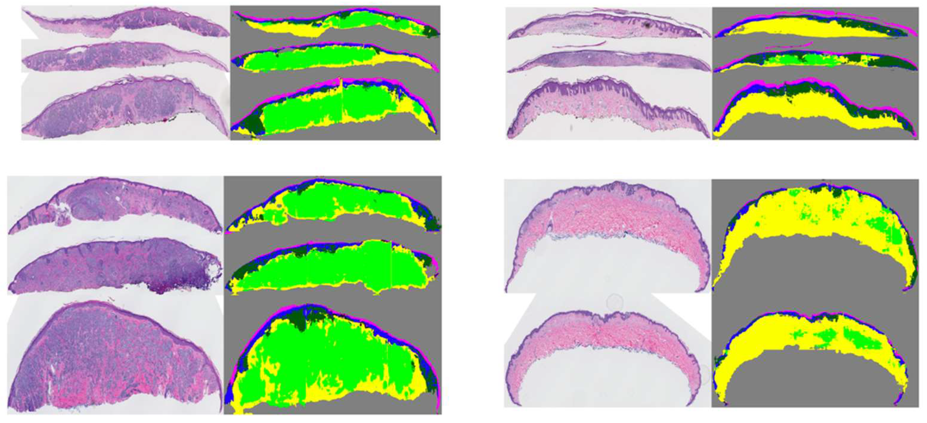 Diagnostics 12 01713 g004 550