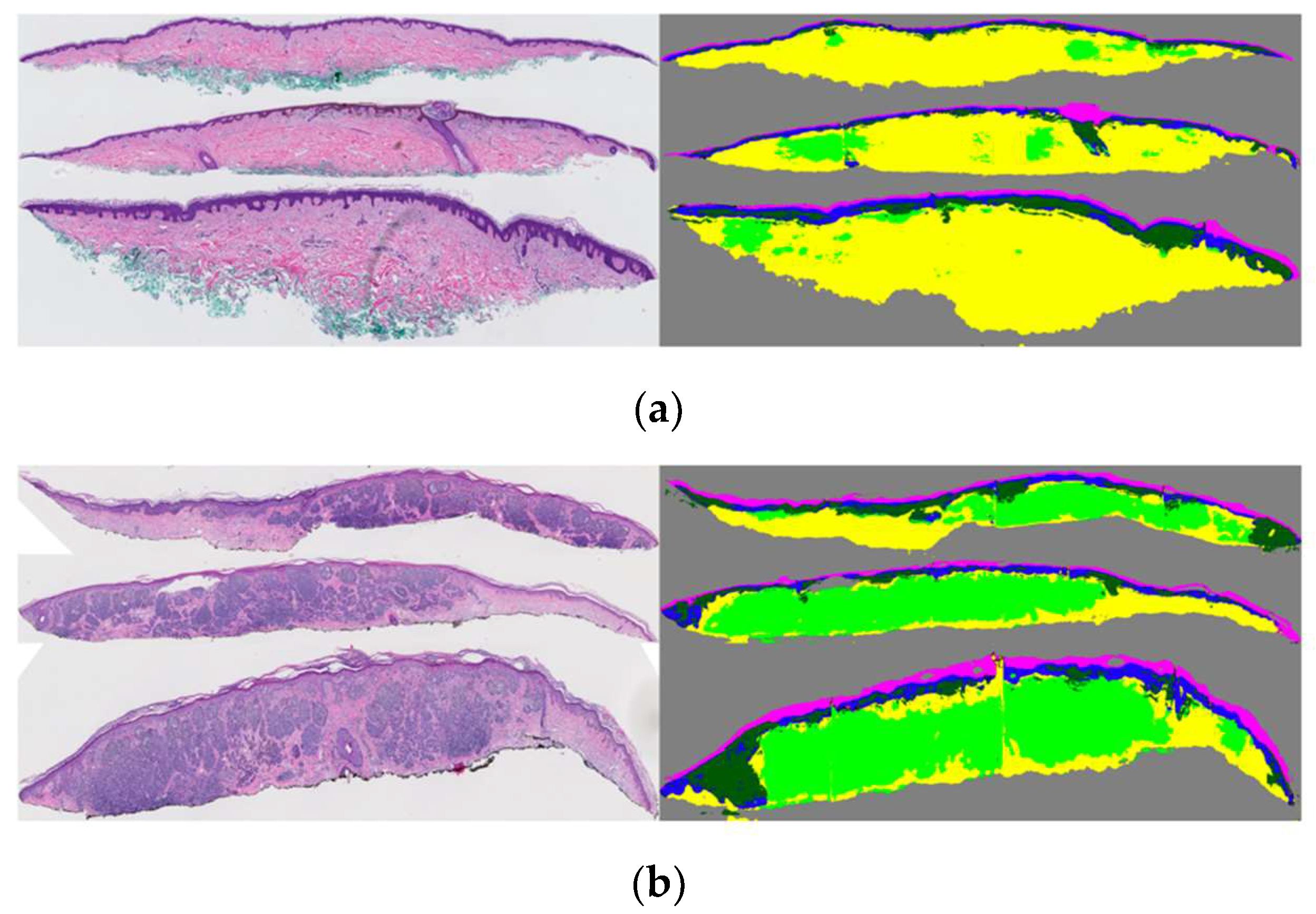 Diagnostics 12 01713 g006 550