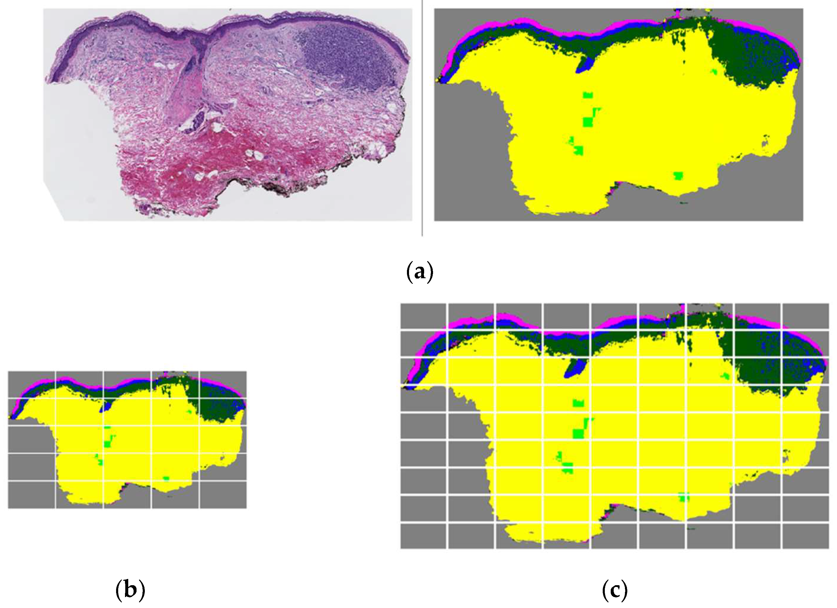 Diagnostics 12 01713 g010 550