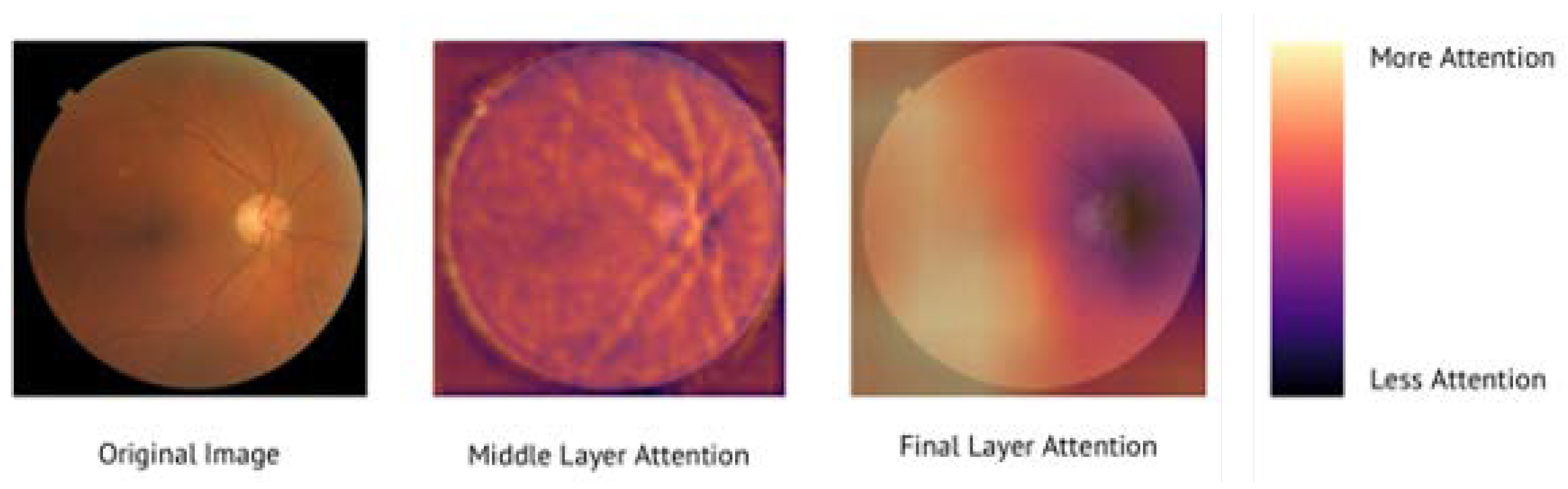 Diagnostics 12 01714 g006