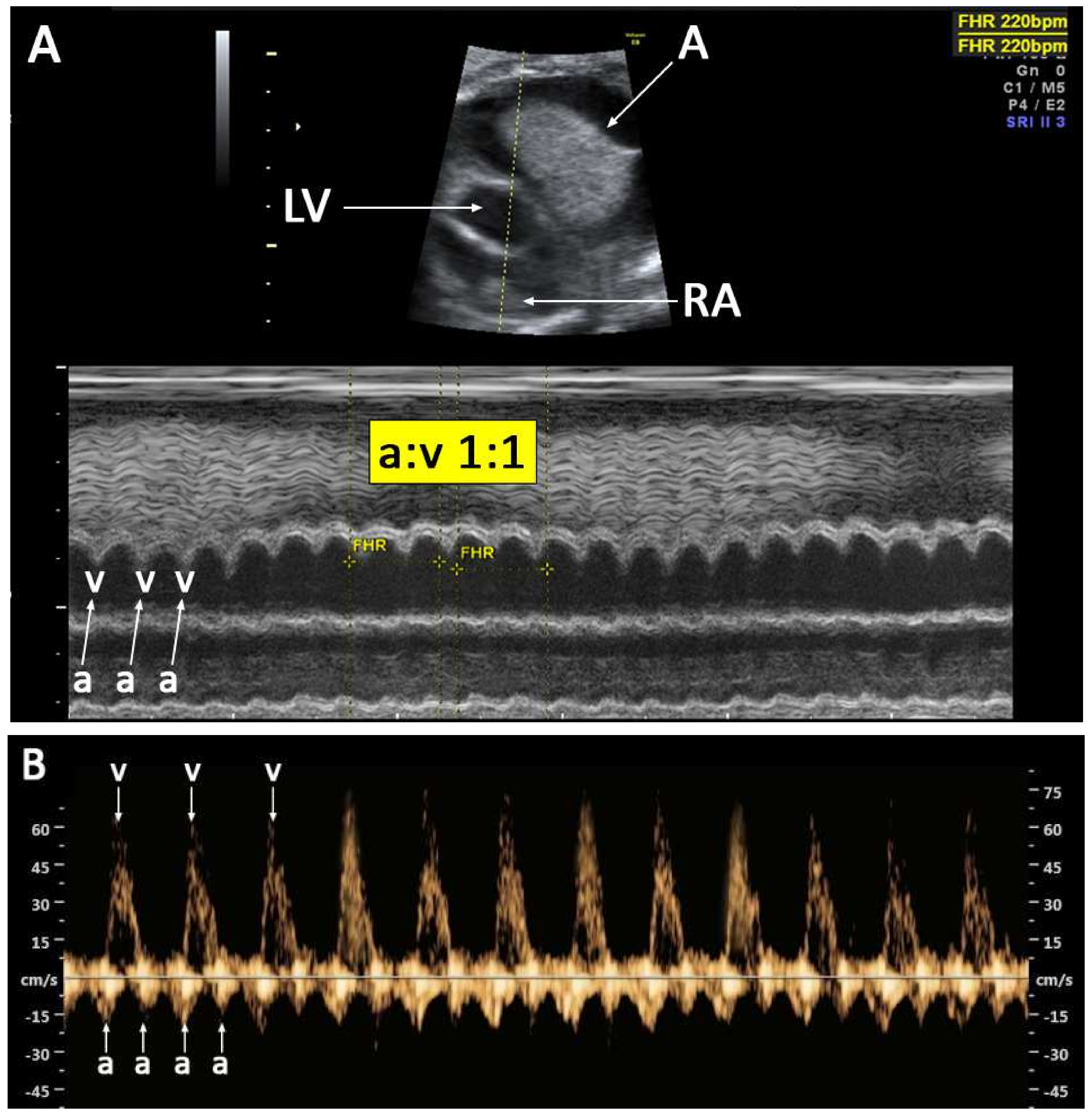 Diagnostics 12 01722 g003