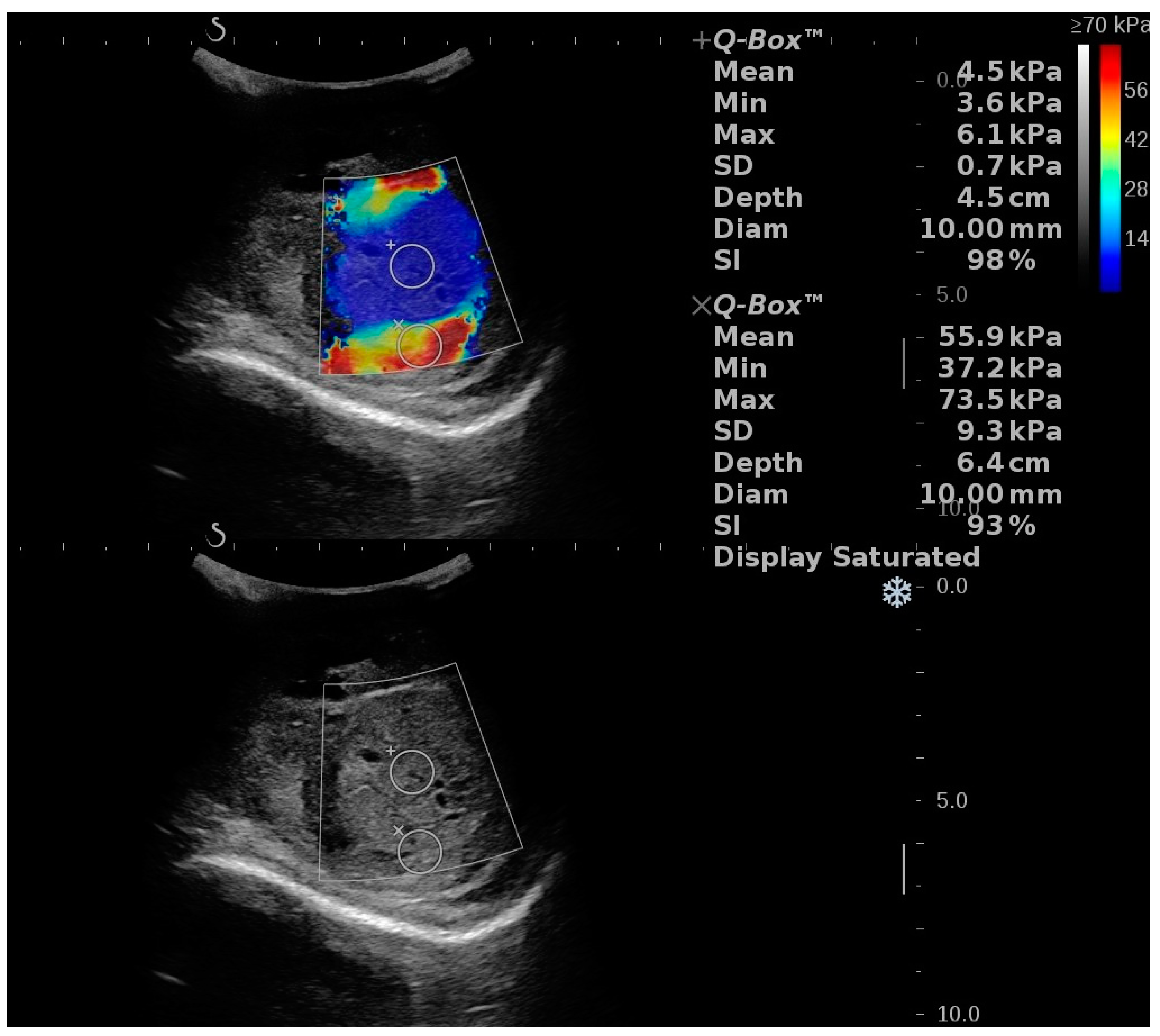 Diagnostics 12 01727 g005 Diagnostics 12 01727 g005