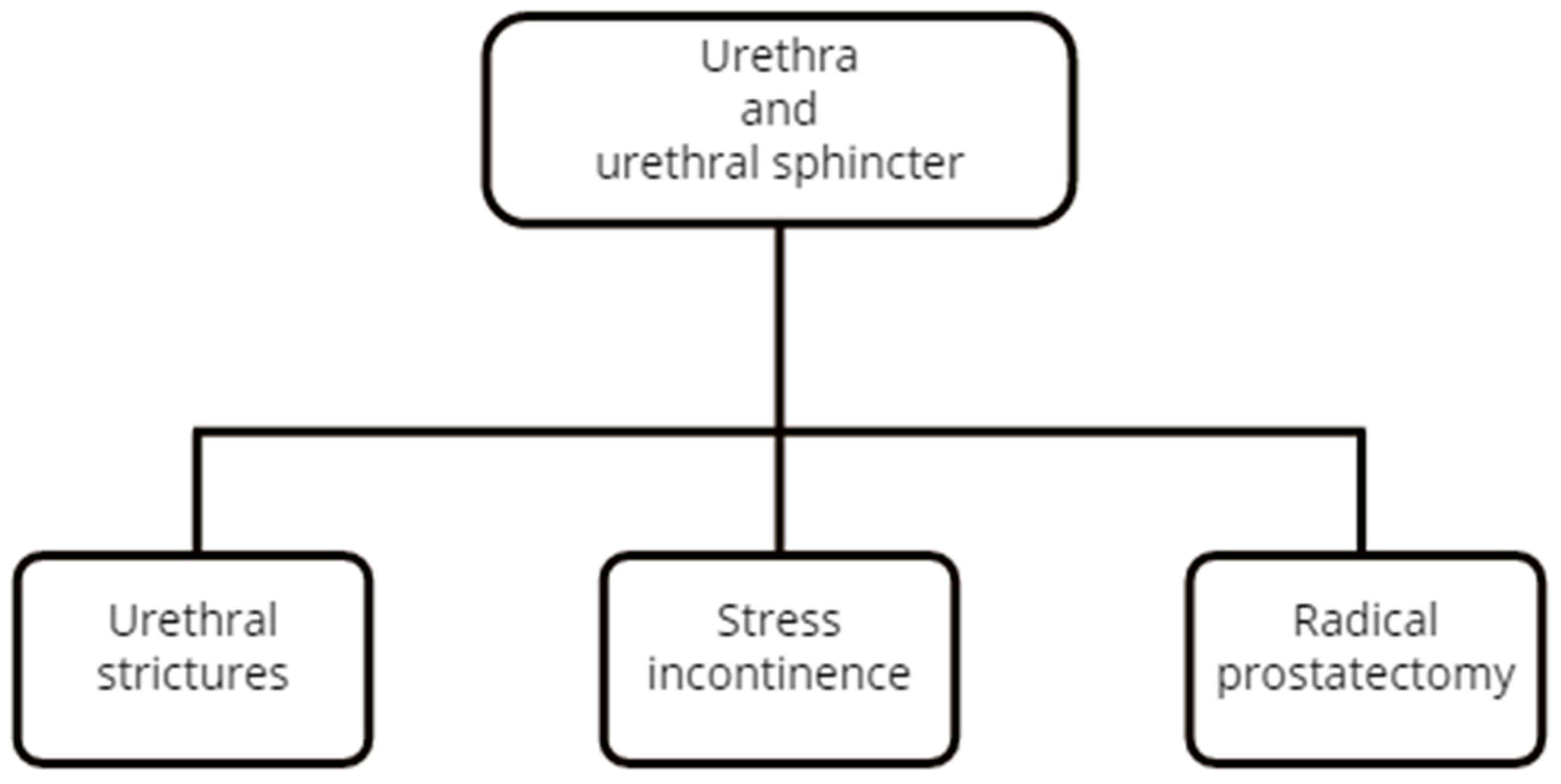 Diagnostics 12 01727 g007 Diagnostics 12 01727 g007