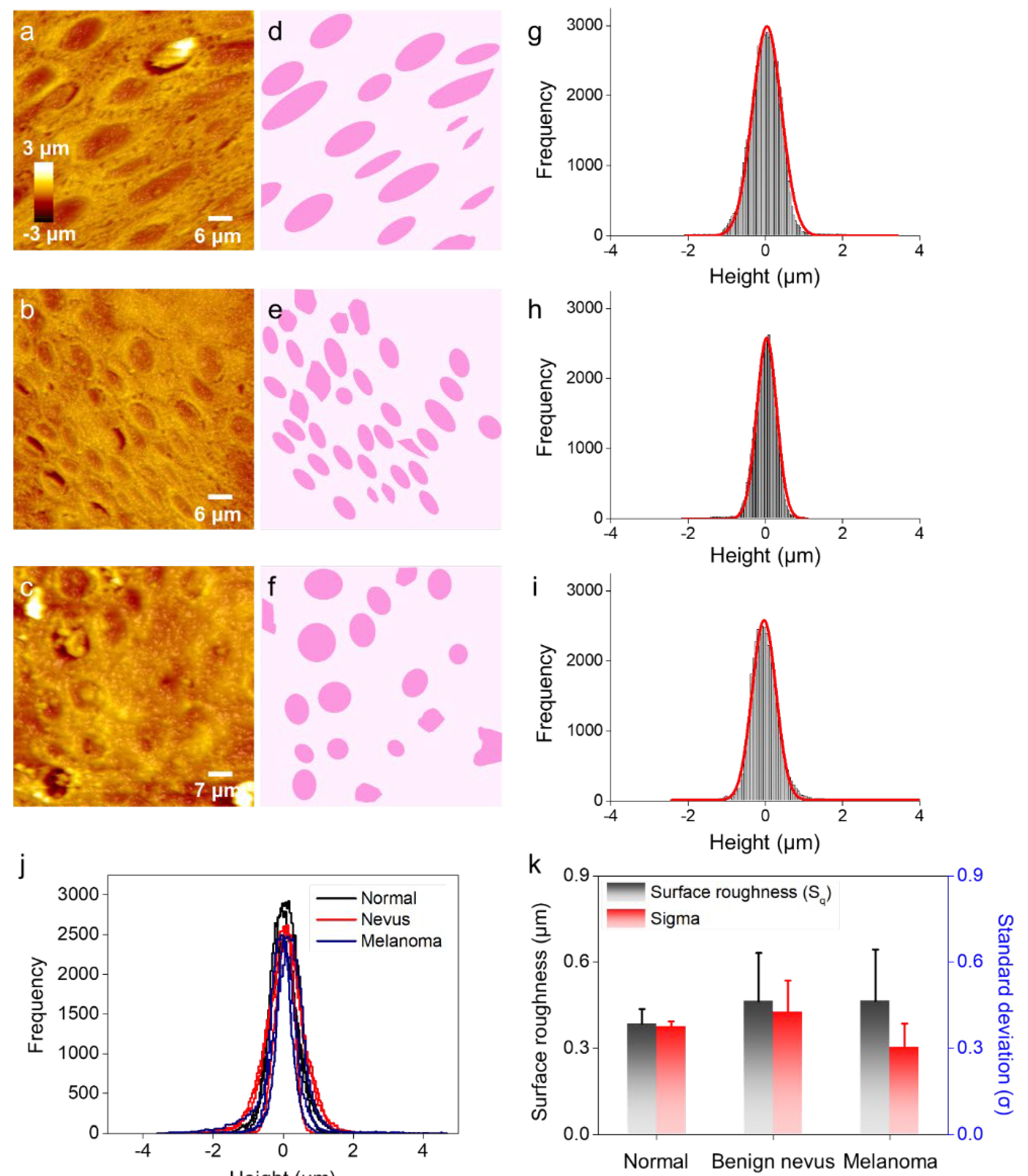 Diagnostics 12 01736 g002