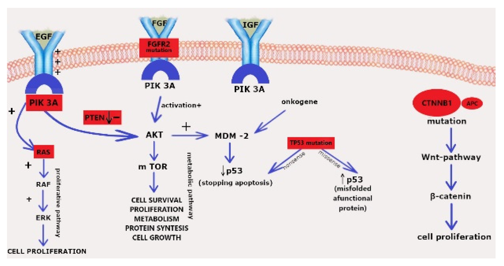 Diagnostics 12 01737 g004