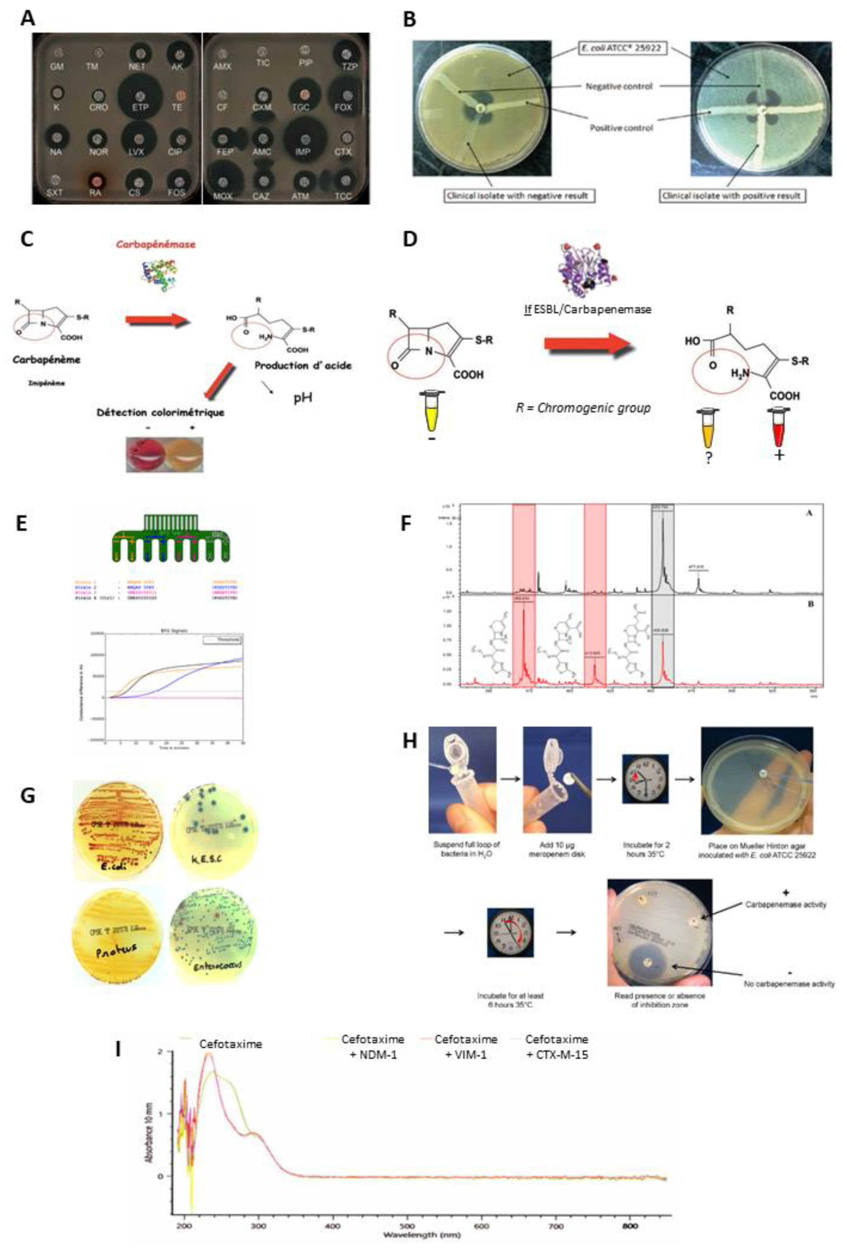 Diagnostics 12 01744 g003 Diagnostics 12 01744 g003