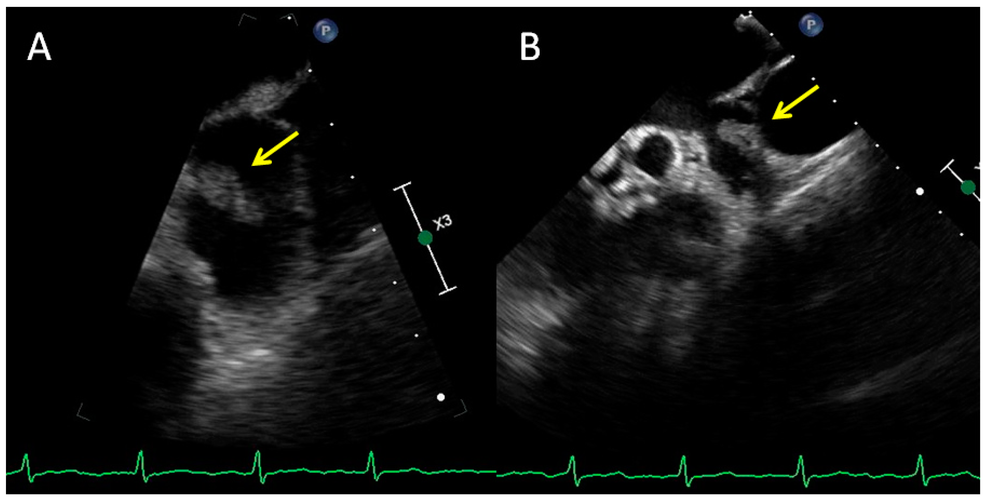 Diagnostics 12 01749 g001a