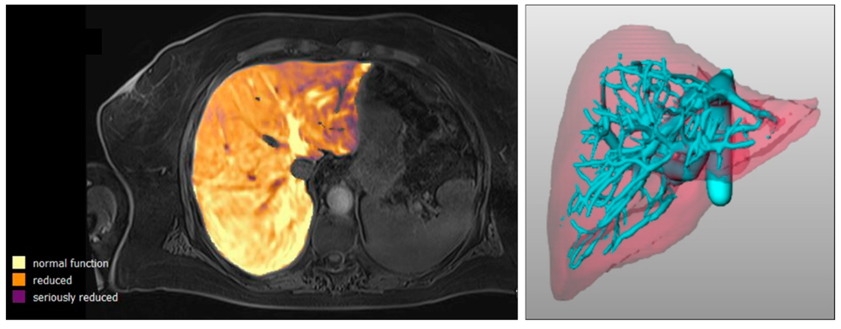 Diagnostics 12 01750 g001 Diagnostics 12 01750 g001