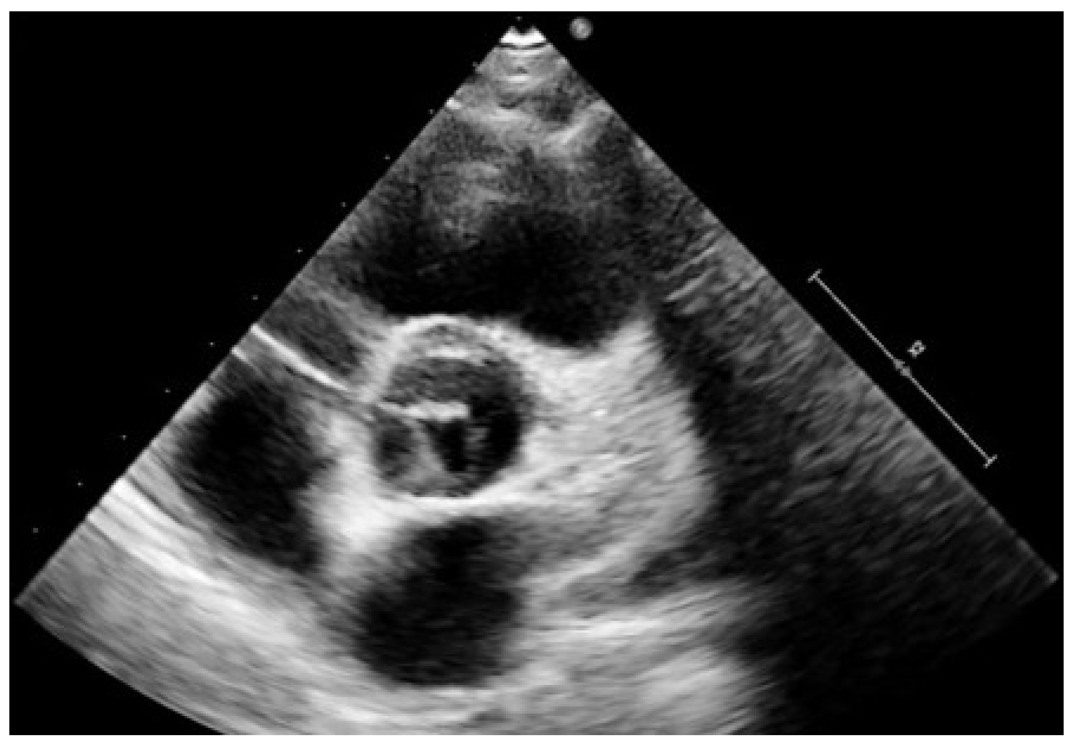 Diagnostics 12 01751 g002