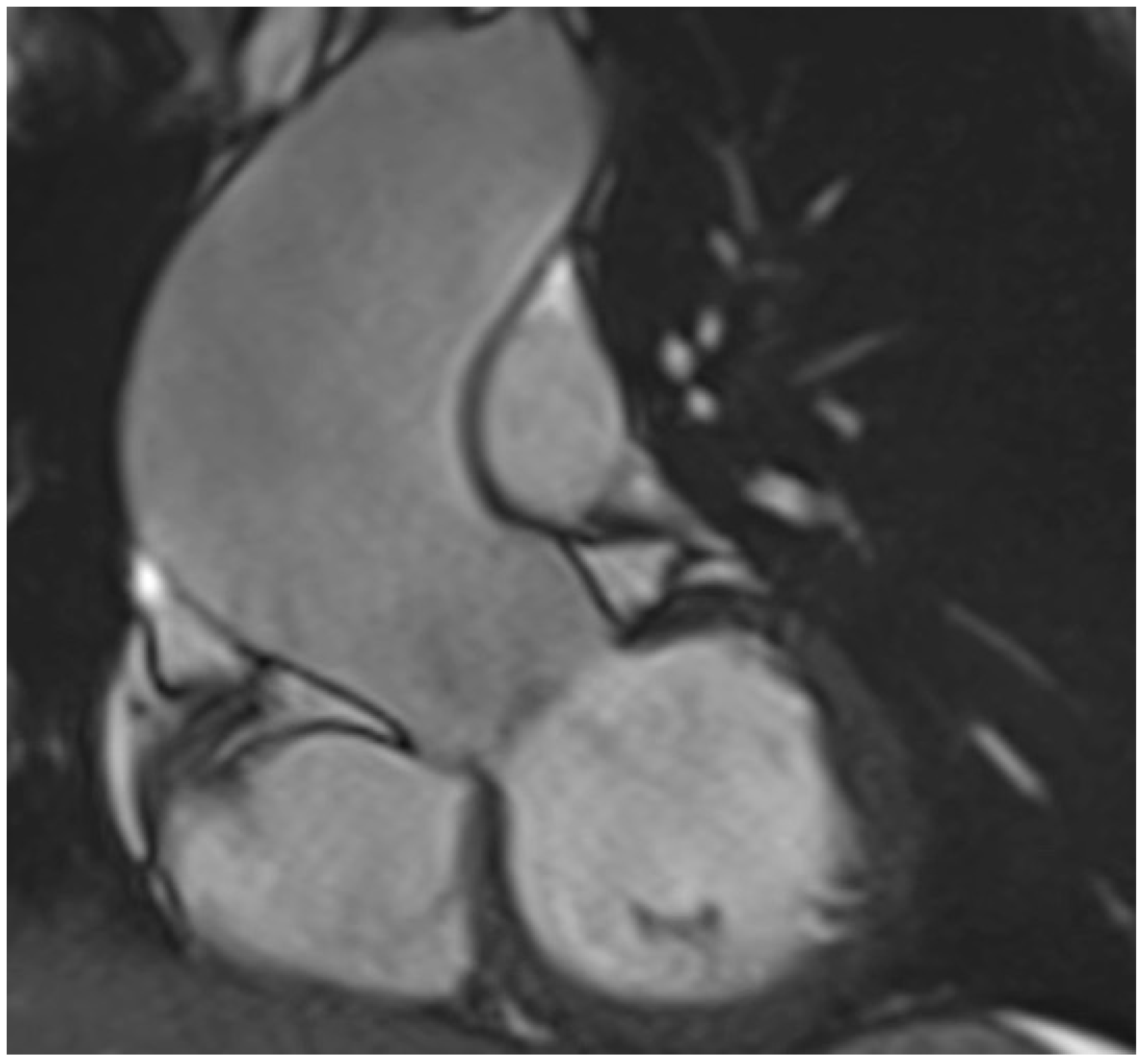 Diagnostics 12 01751 g003