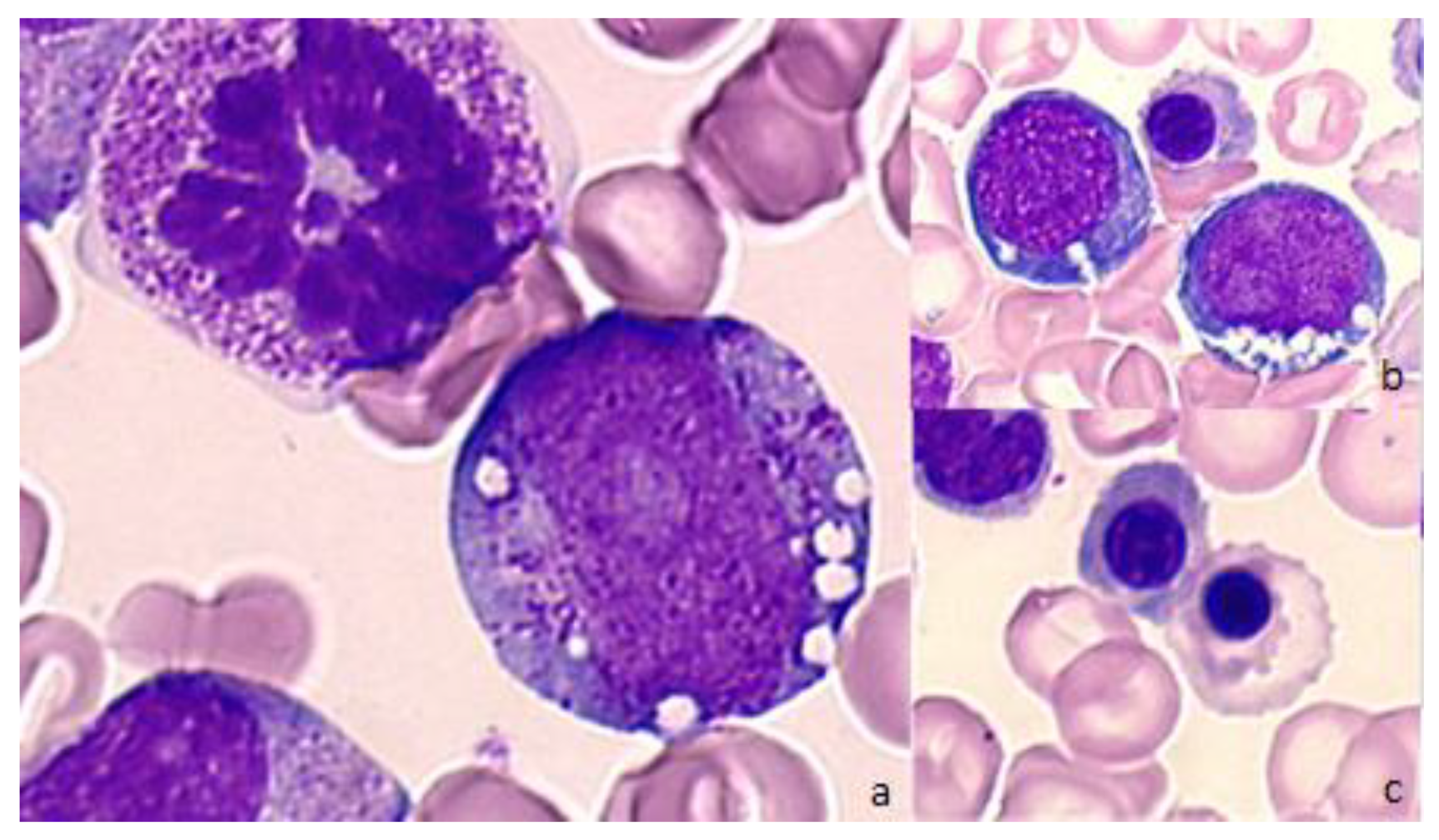 Diagnostics 12 01752 g003 Diagnostics 12 01752 g003