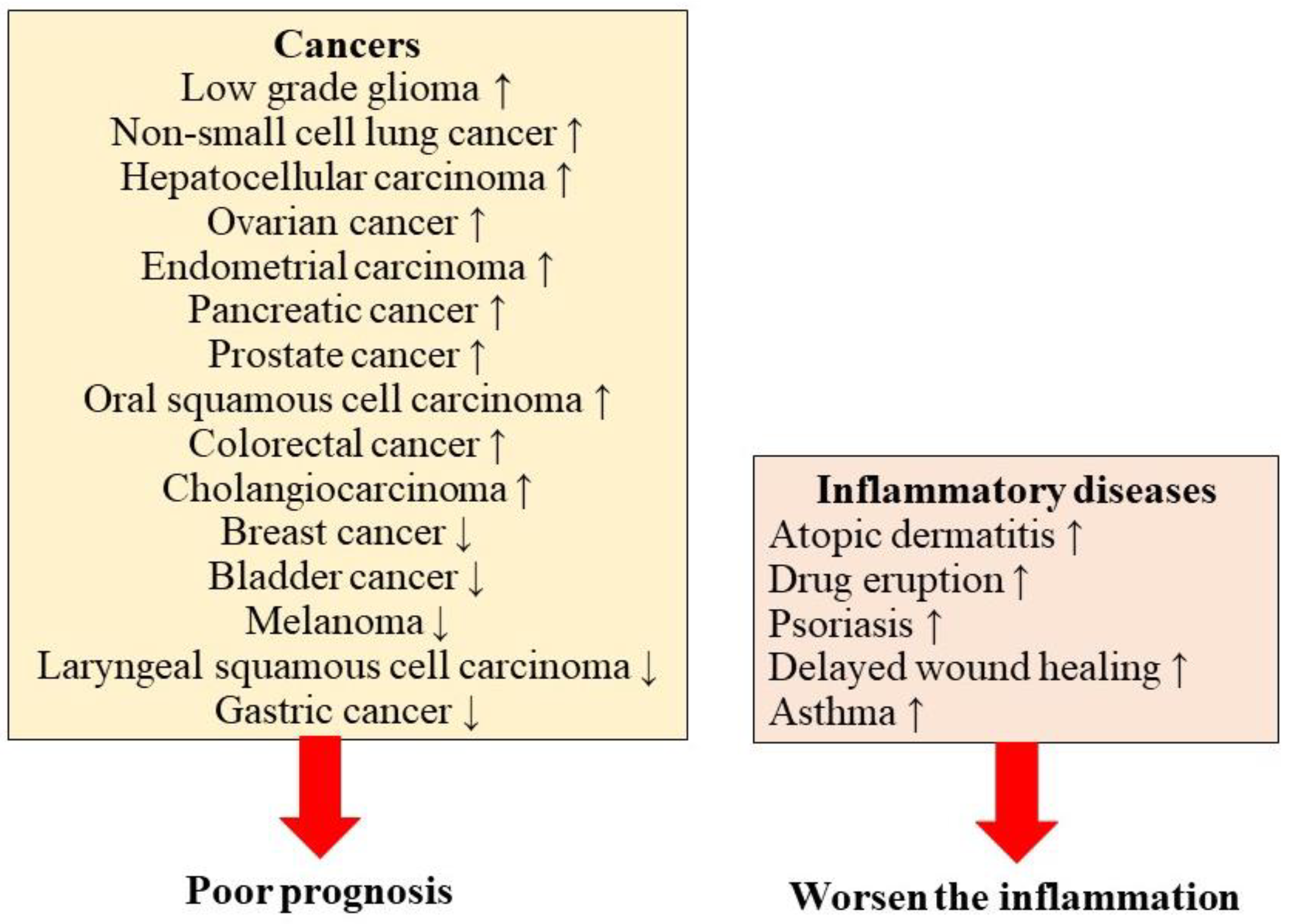 Diagnostics 12 01756 g002 Diagnostics 12 01756 g002