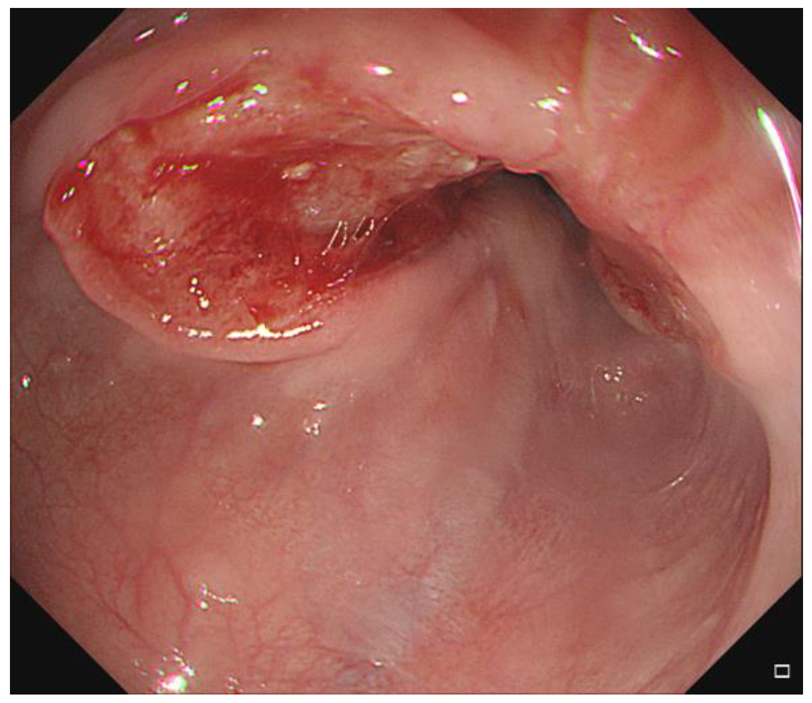 Diagnostics 12 01758 g001