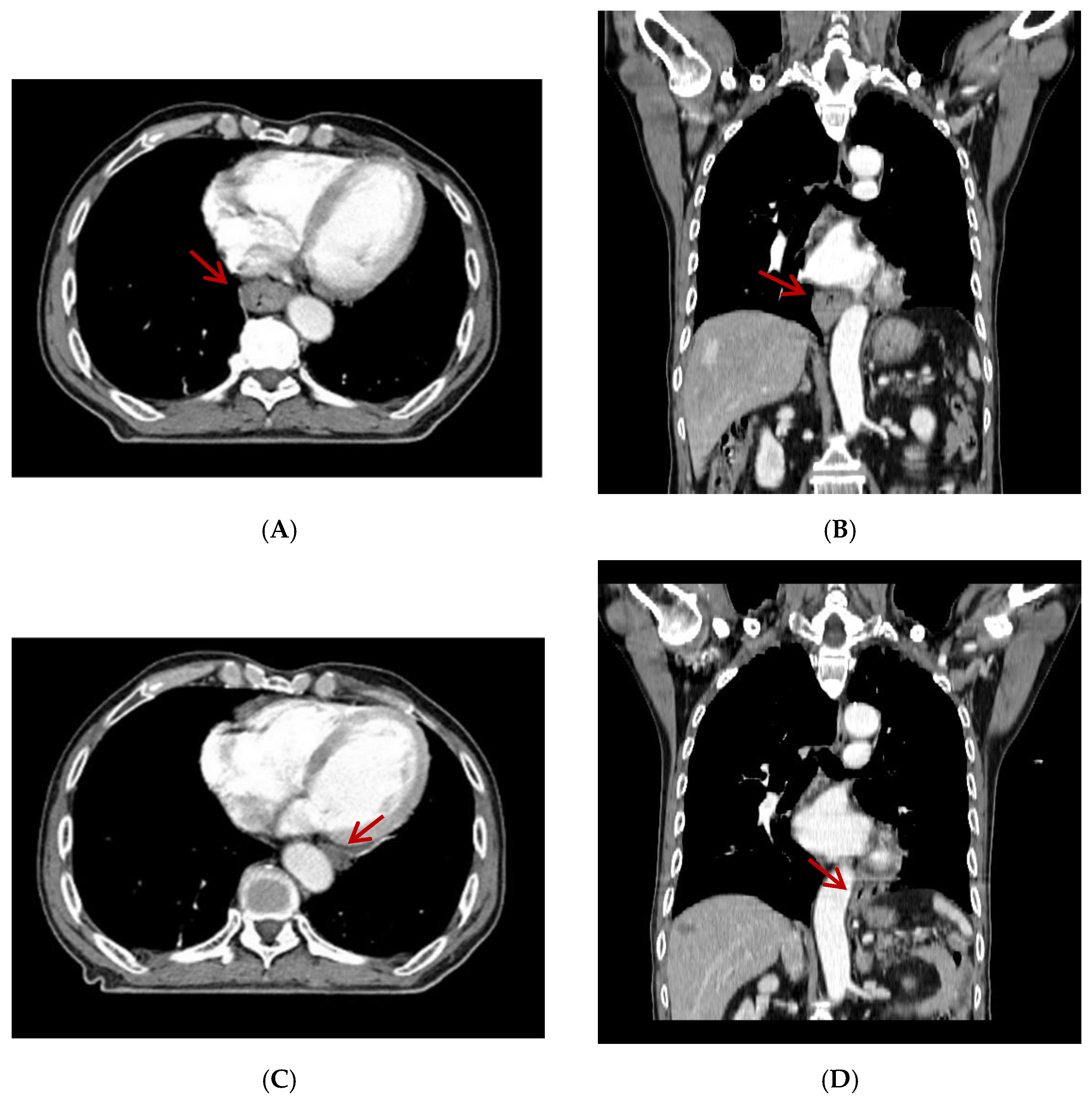 Diagnostics 12 01758 g002