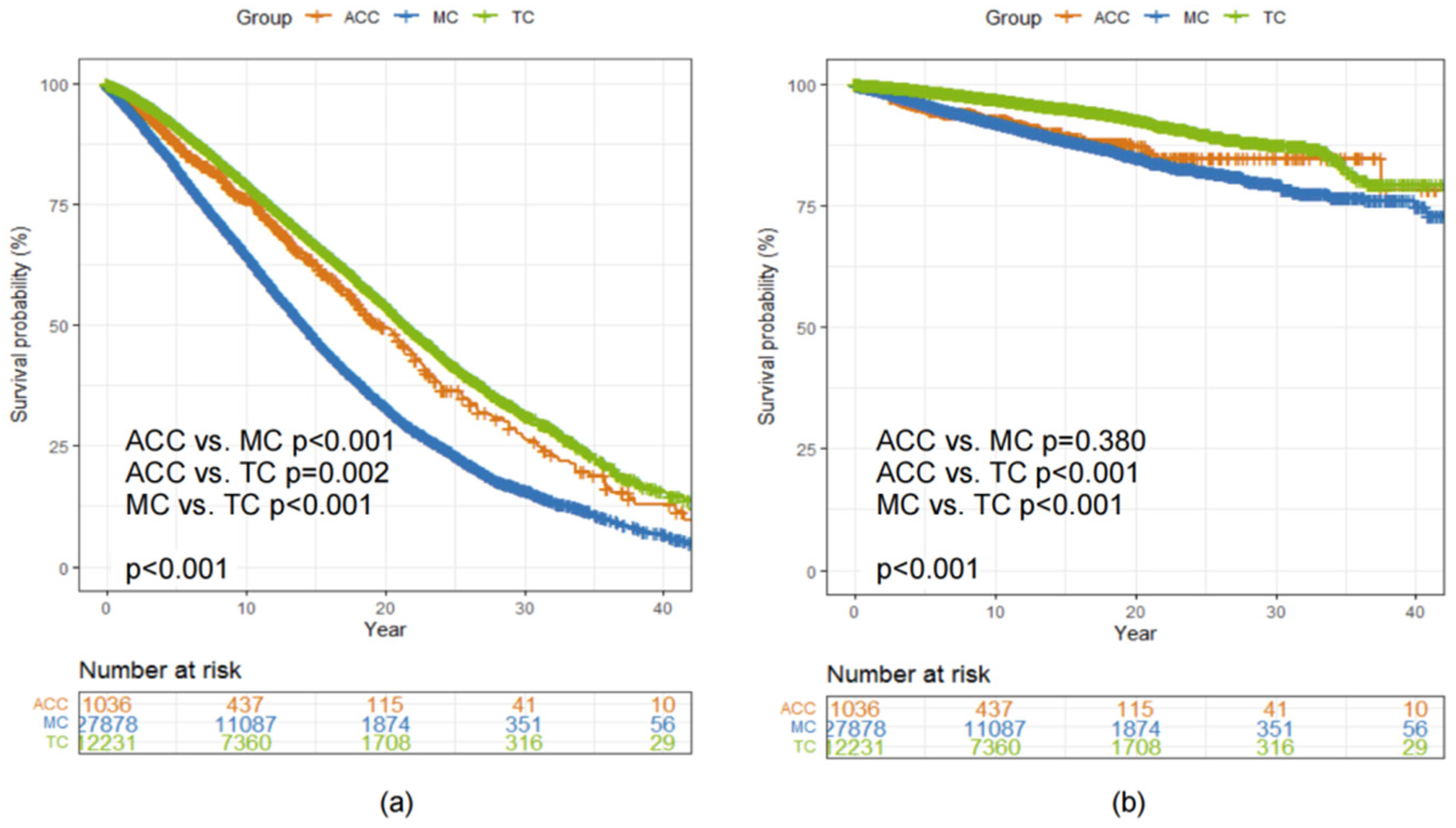 Diagnostics 12 01760 g004