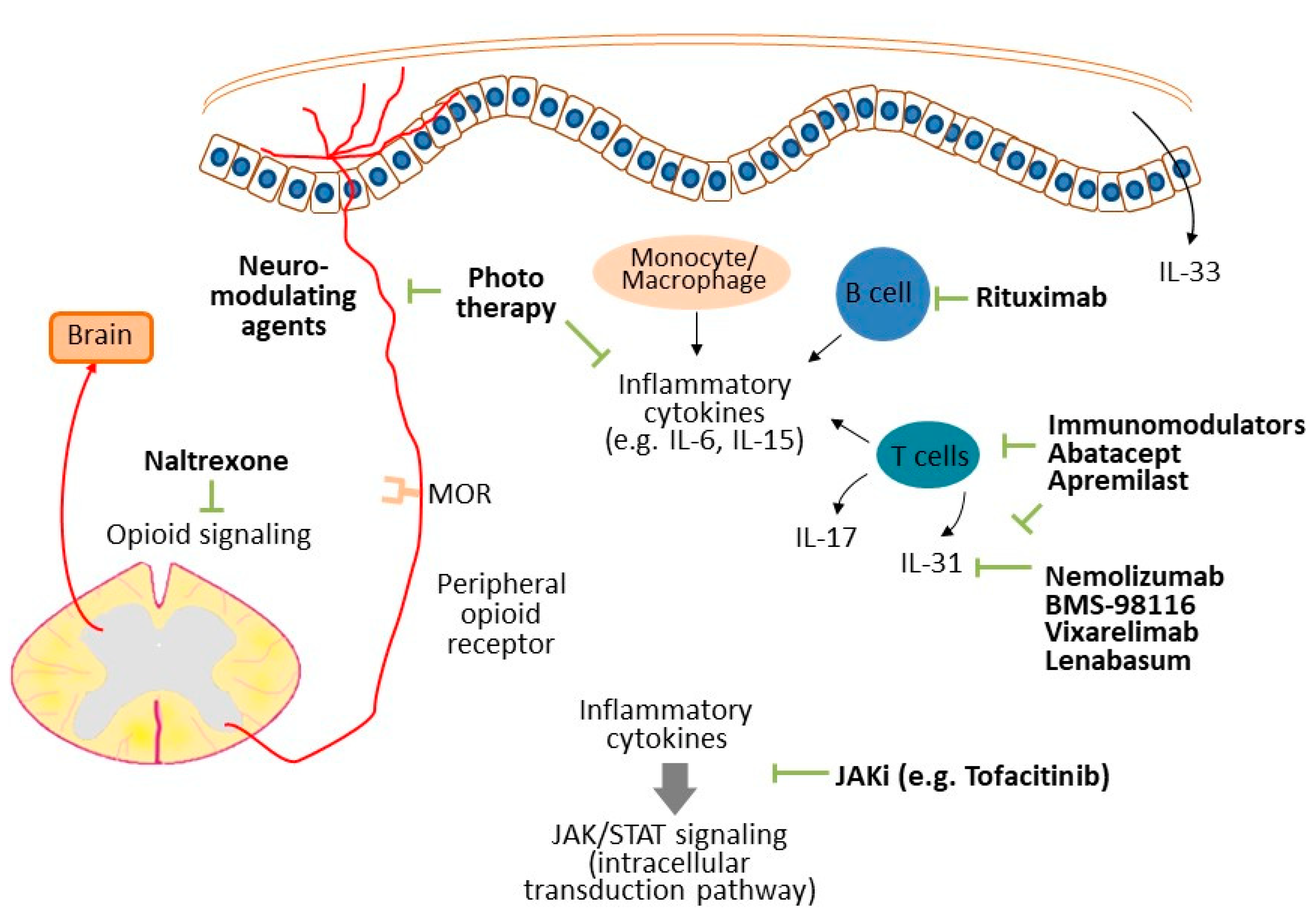 Diagnostics 12 01772 g001