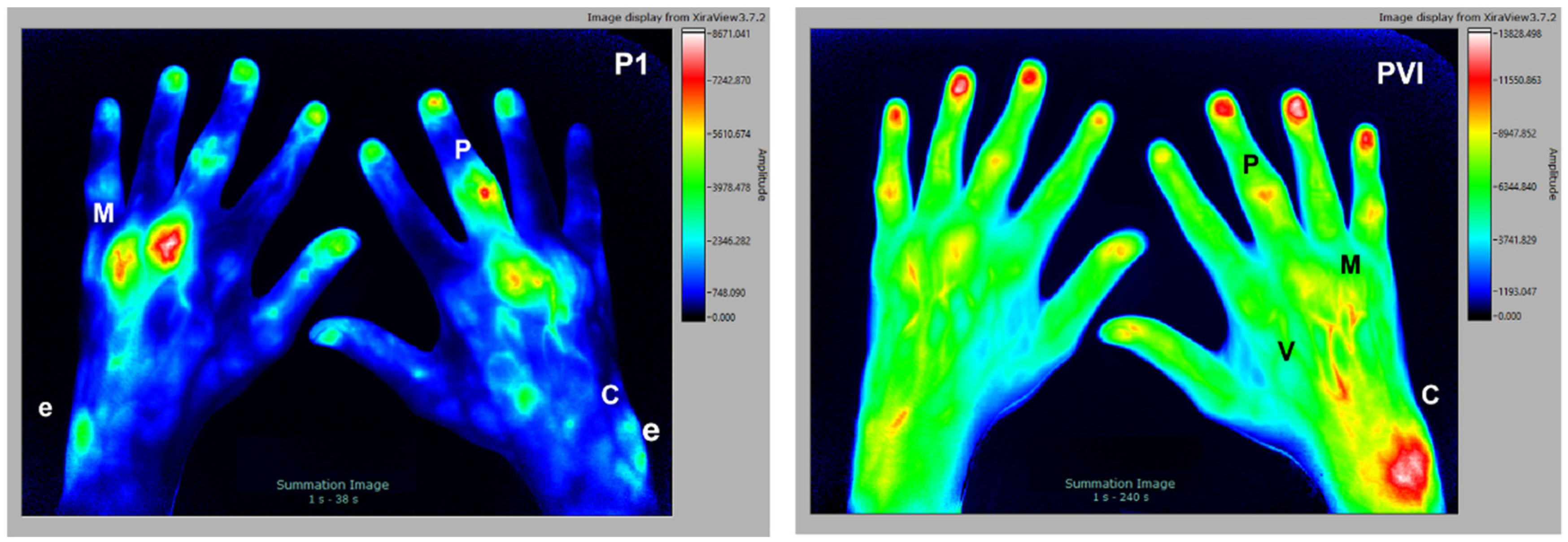 Diagnostics 12 01775 g002