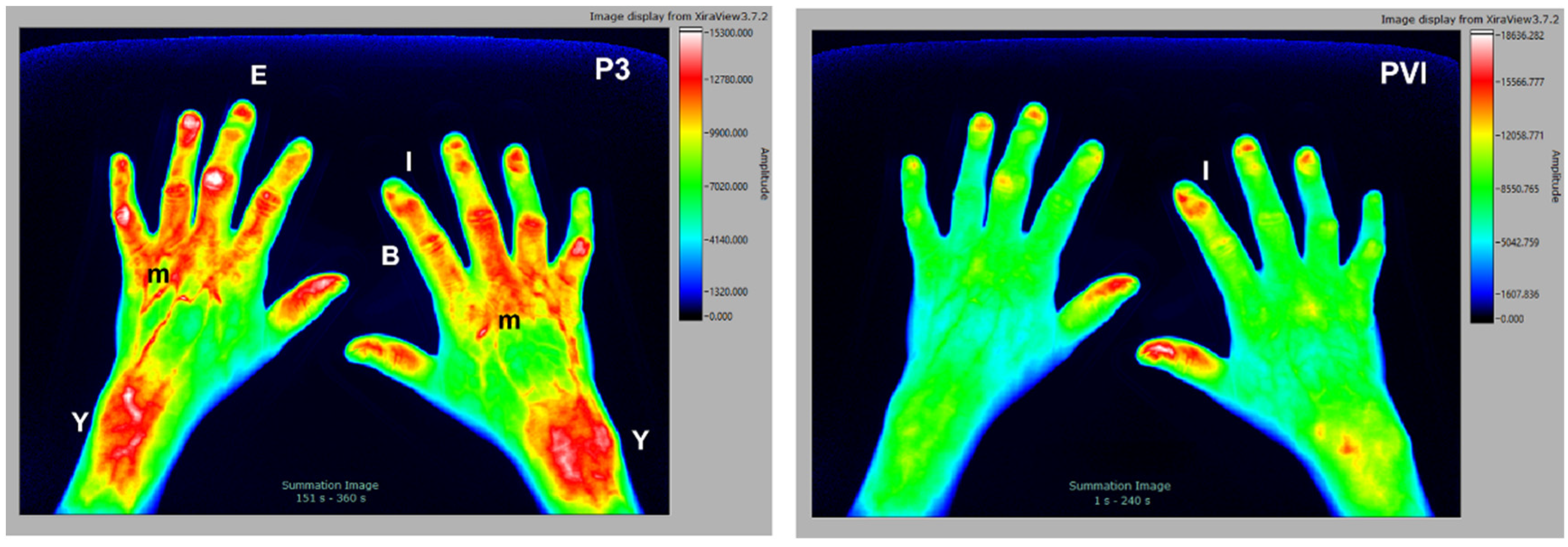 Diagnostics 12 01775 g004