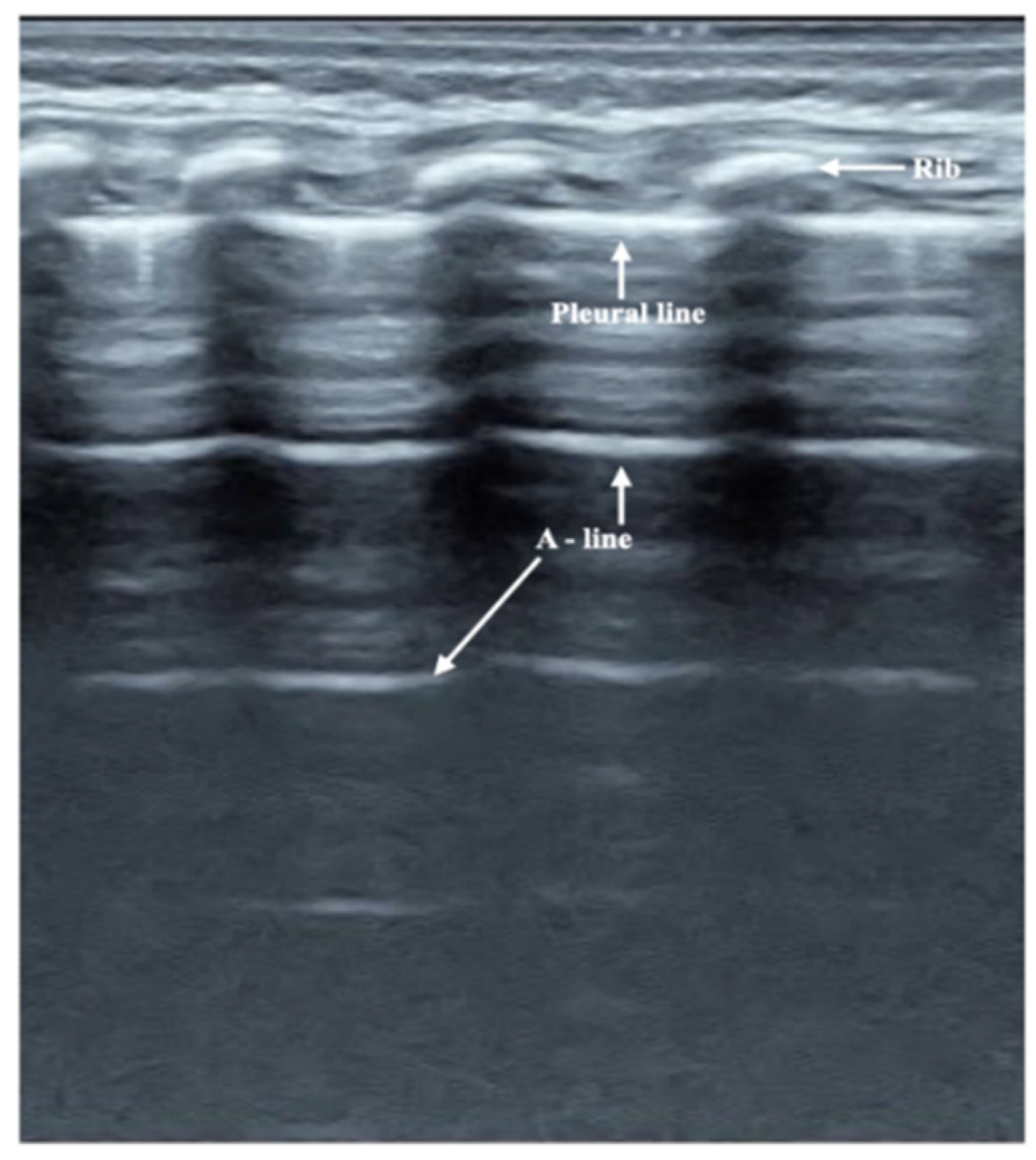 Diagnostics 12 01776 g001 550