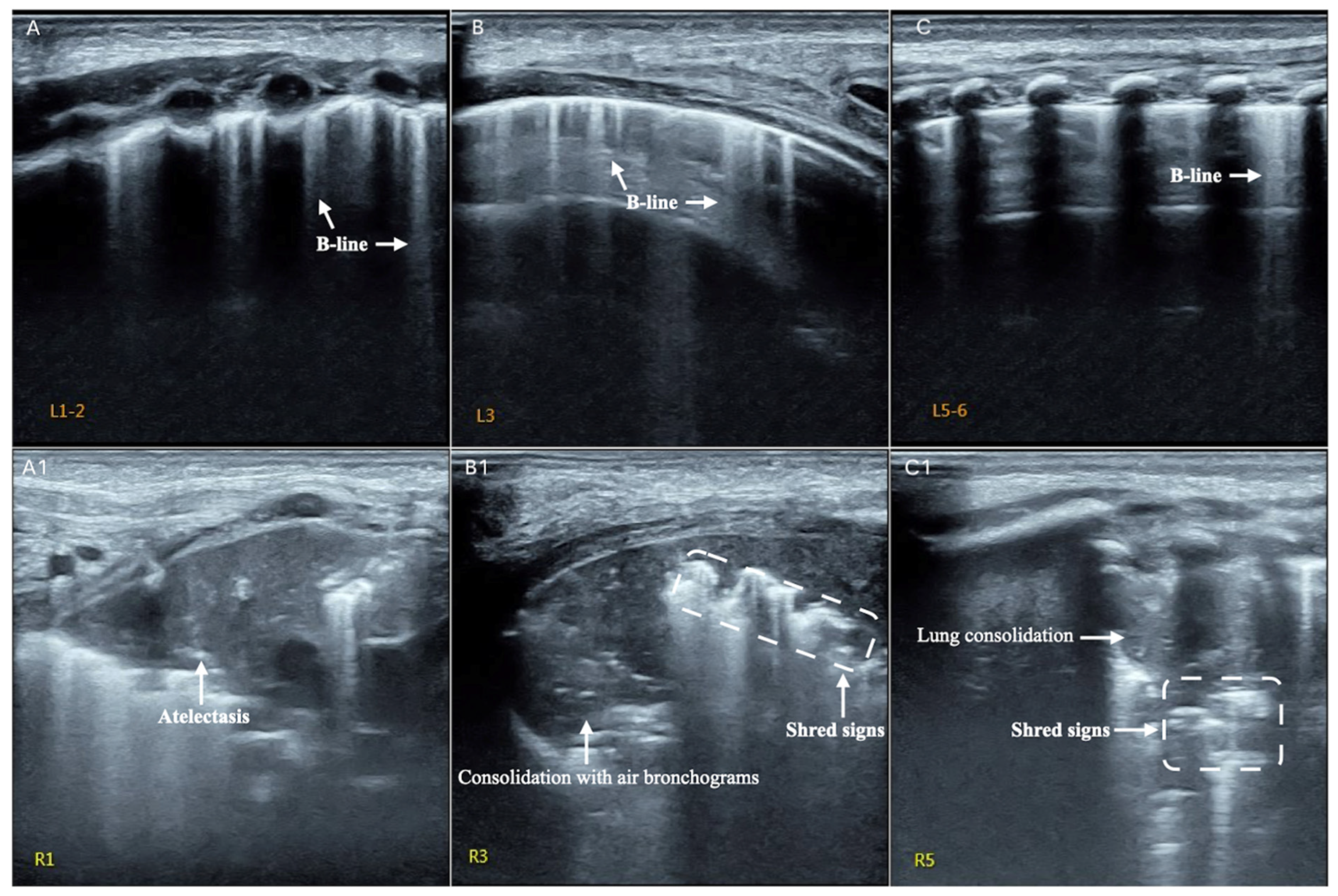 Diagnostics 12 01776 g003 550