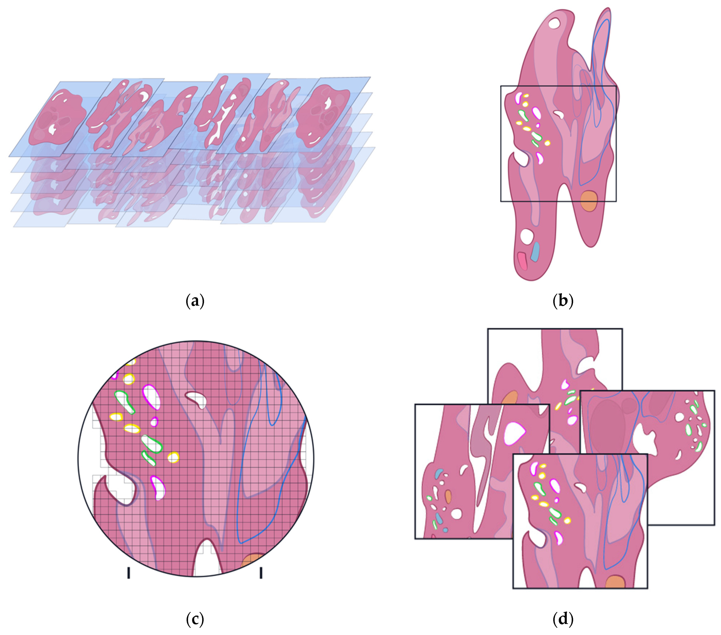 Diagnostics 12 01778 g006 550