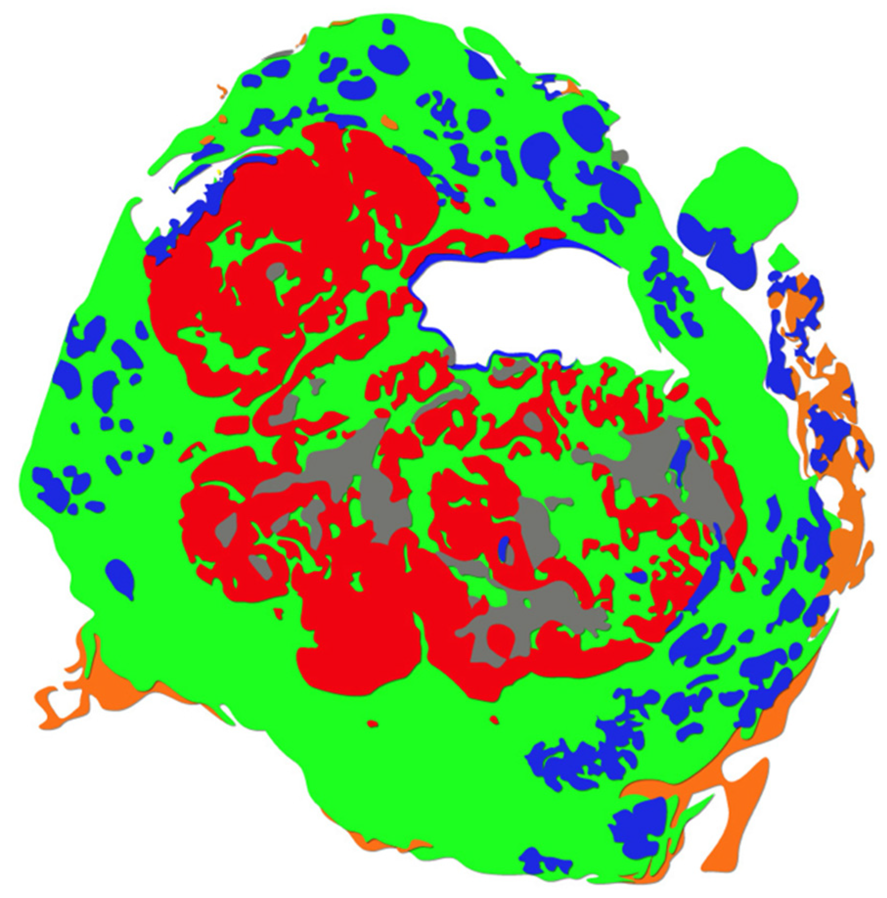 Diagnostics 12 01778 g011 550