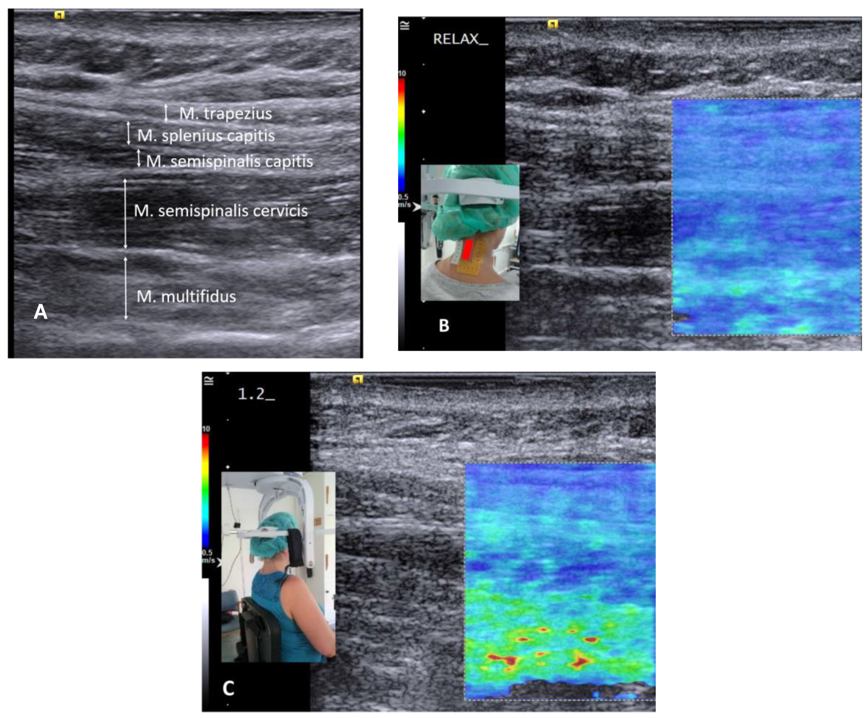 Diagnostics 12 01791 g001