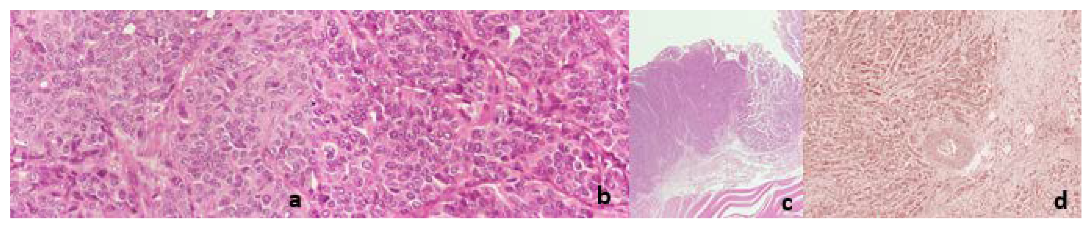 Diagnostics 12 01797 g003 Diagnostics 12 01797 g003