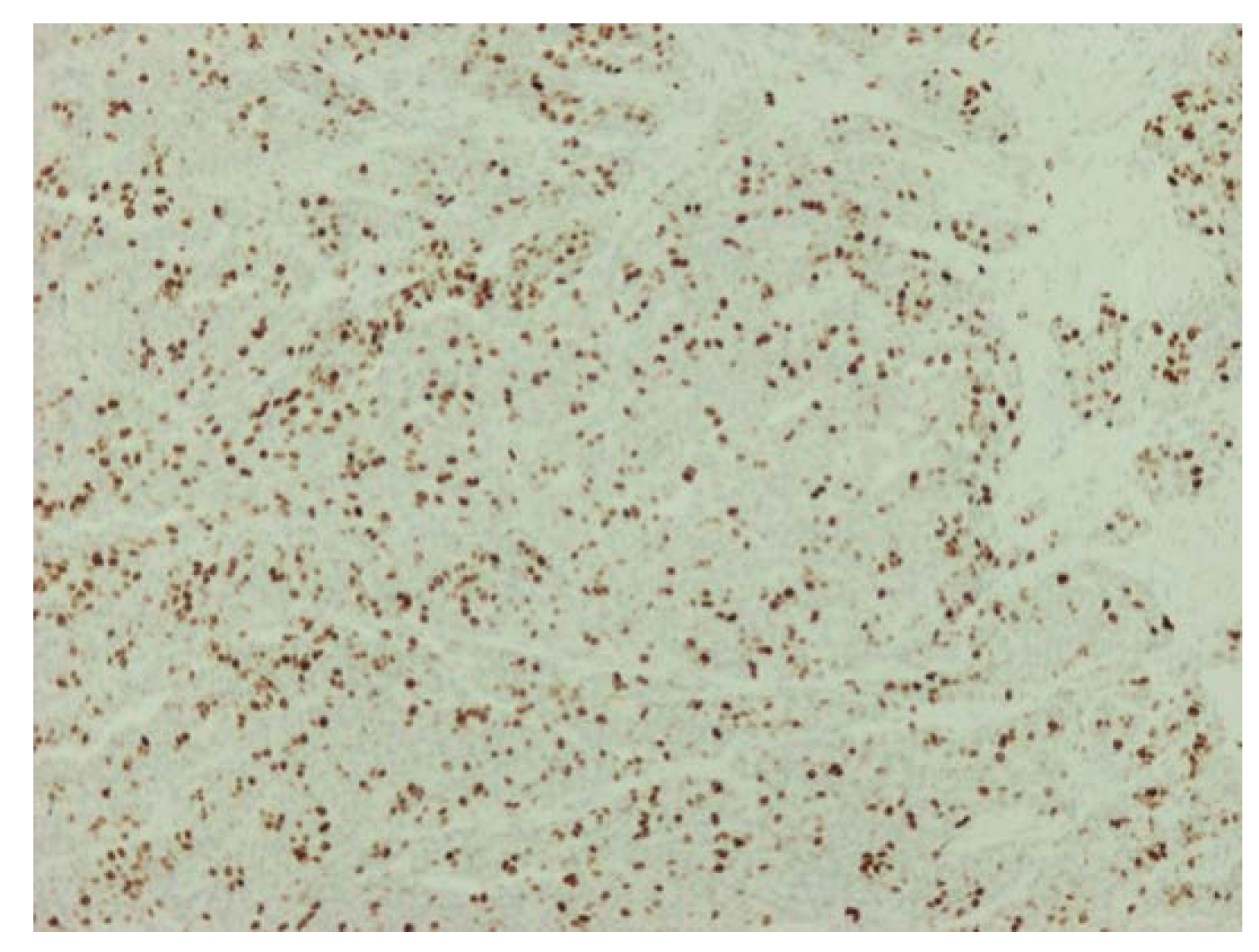 Diagnostics 12 01797 g005 Diagnostics 12 01797 g005