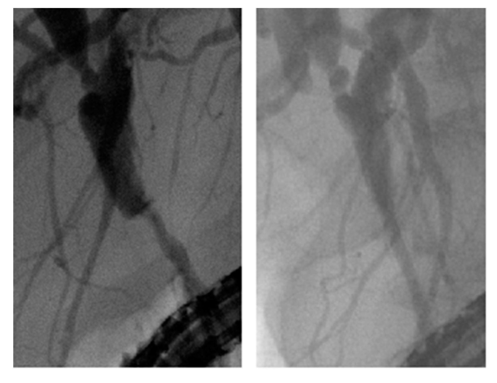 Diagnostics 12 01804 g001