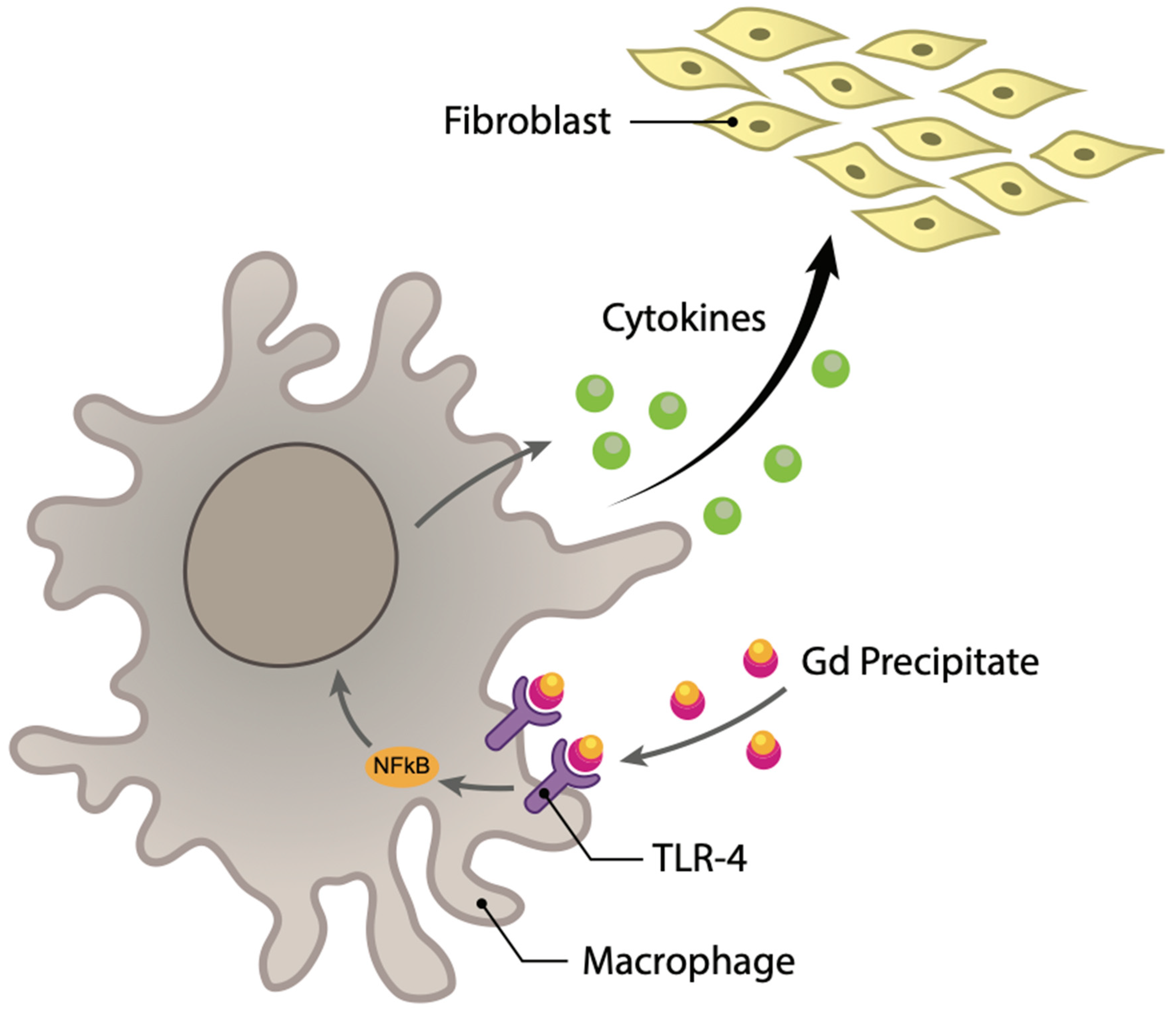 Diagnostics 12 01816 g003 550
