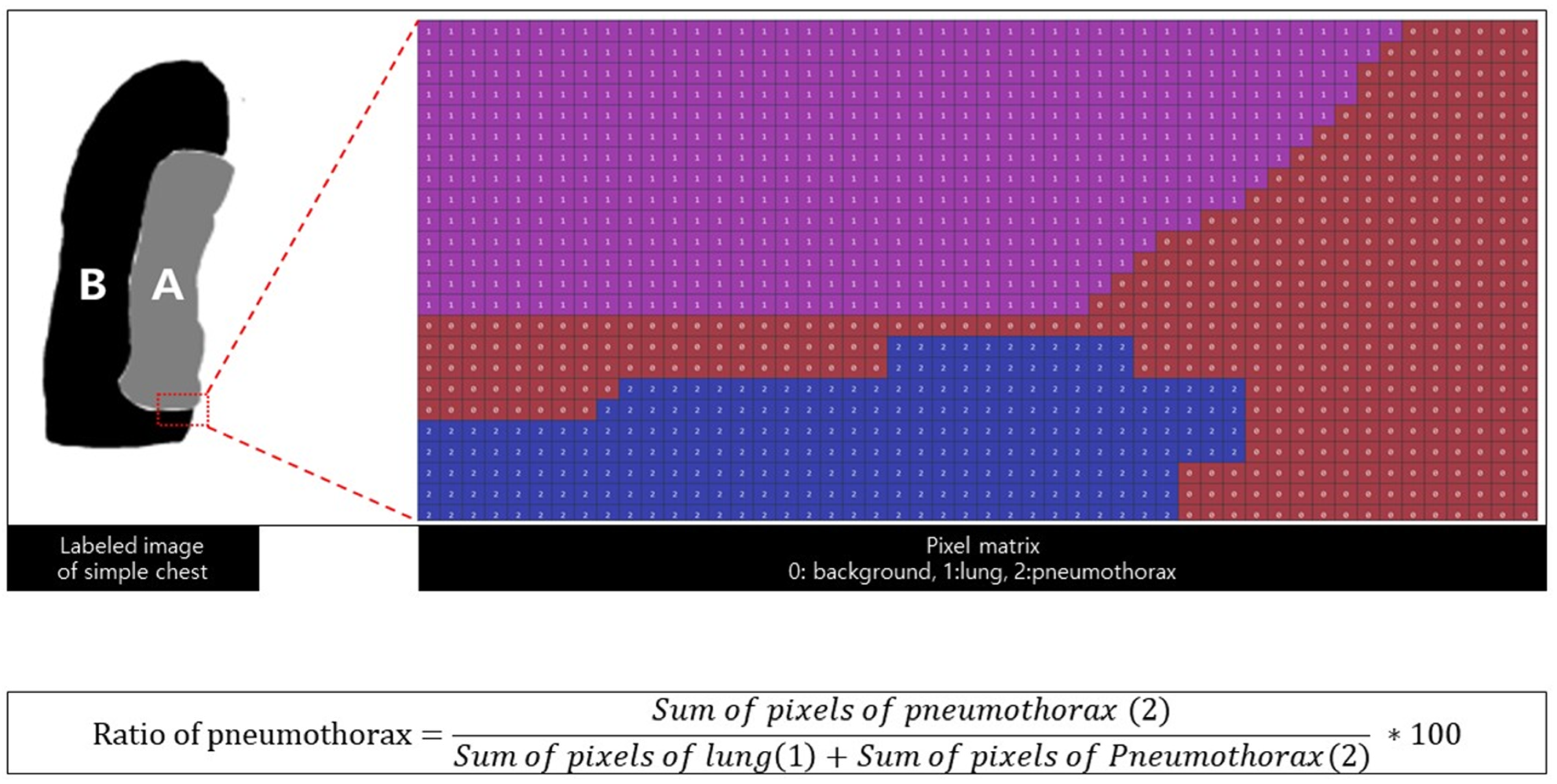 Diagnostics 12 01823 g003