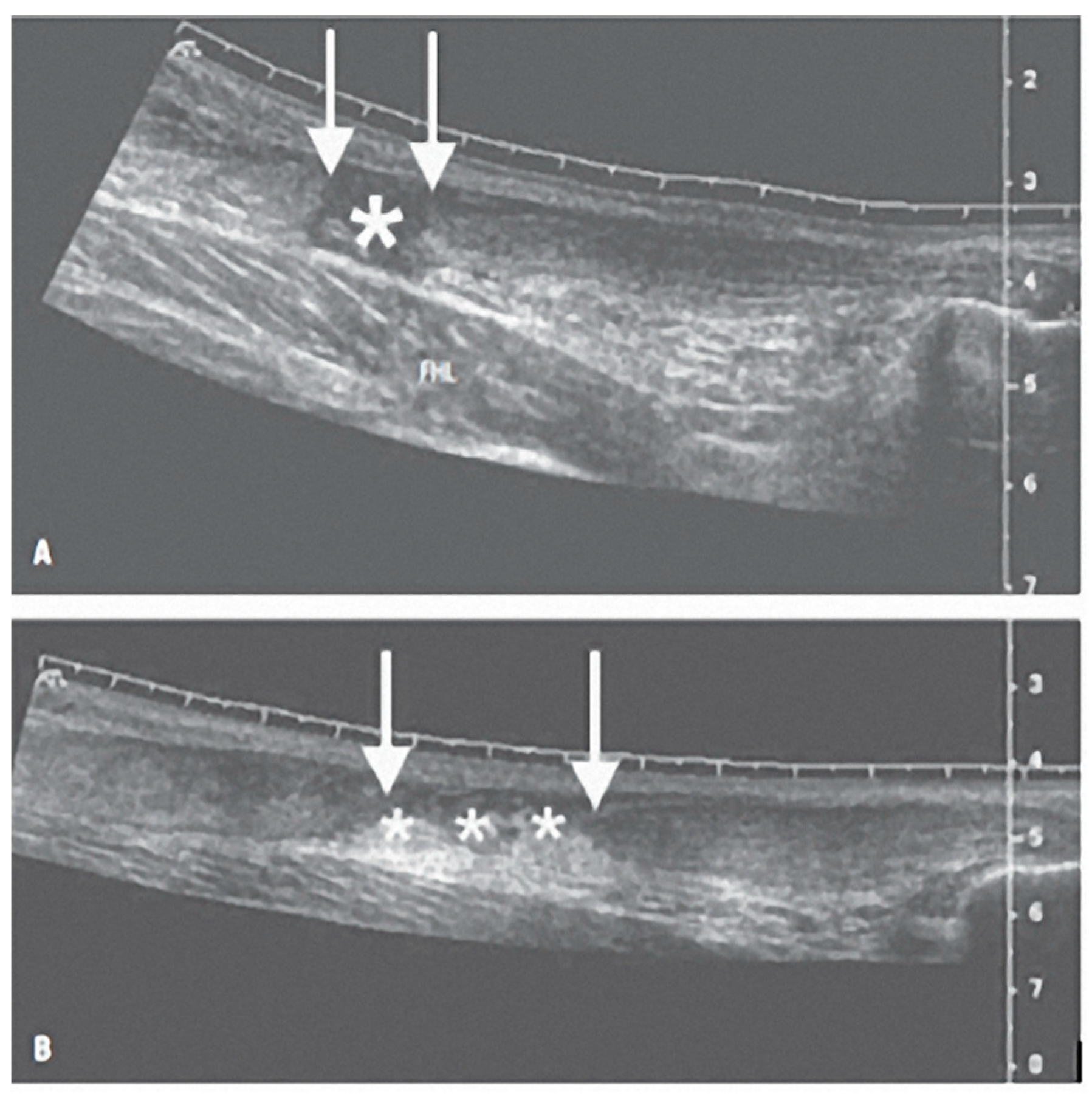 Diagnostics 12 01824 g001
