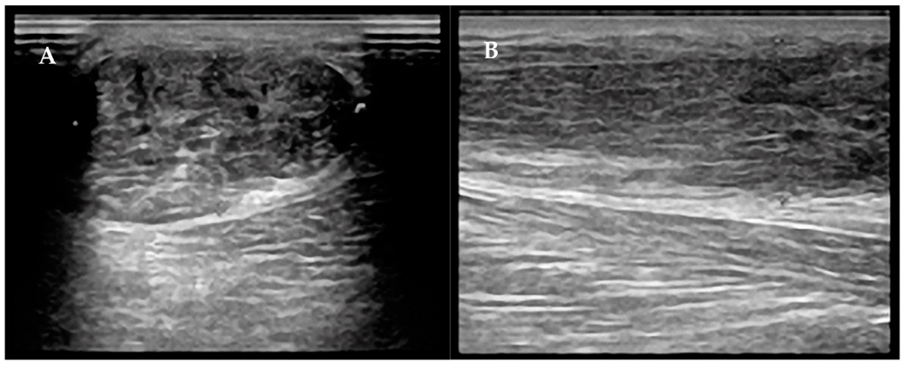 Diagnostics 12 01824 g002