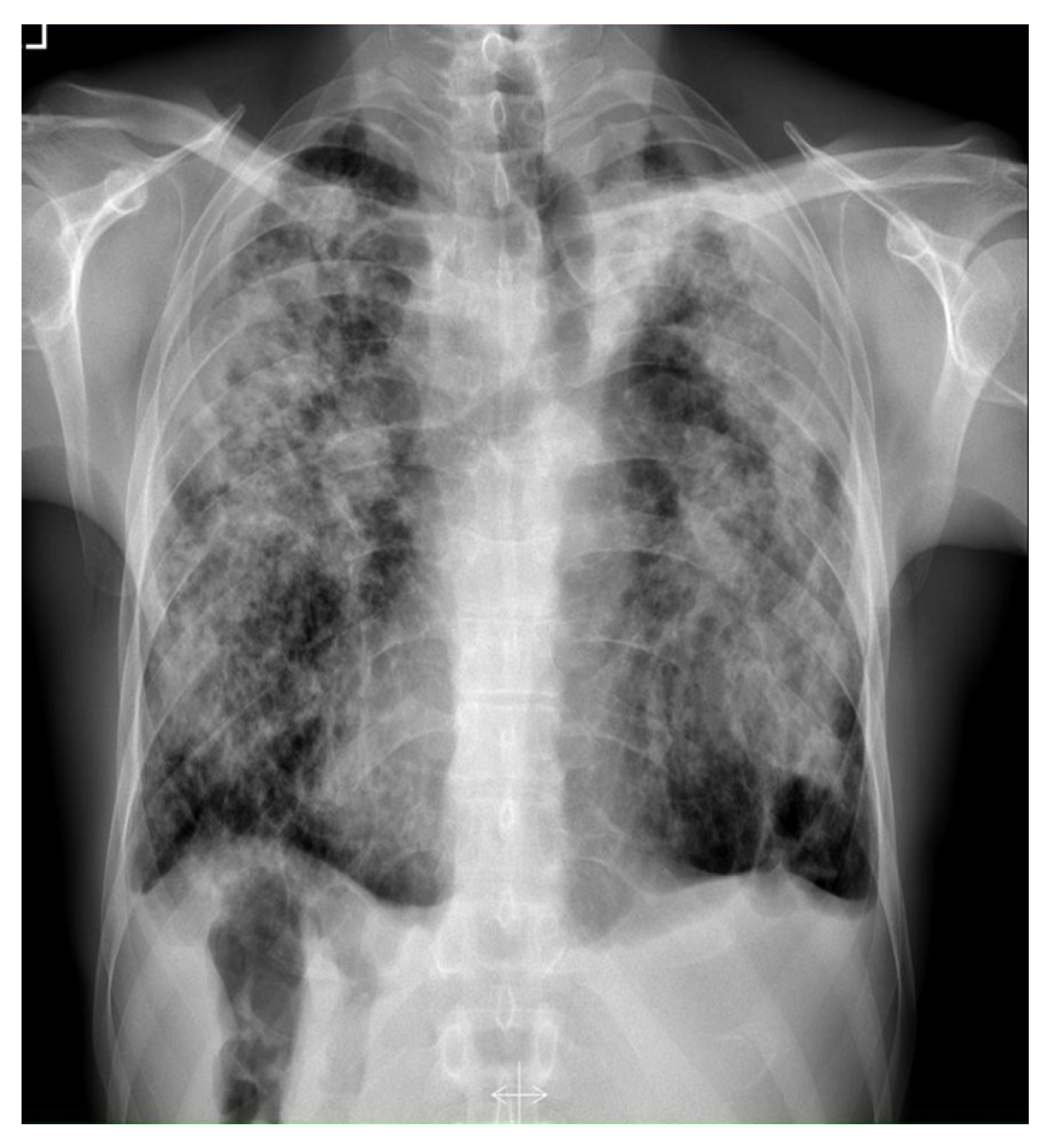 Diagnostics 12 01826 g003