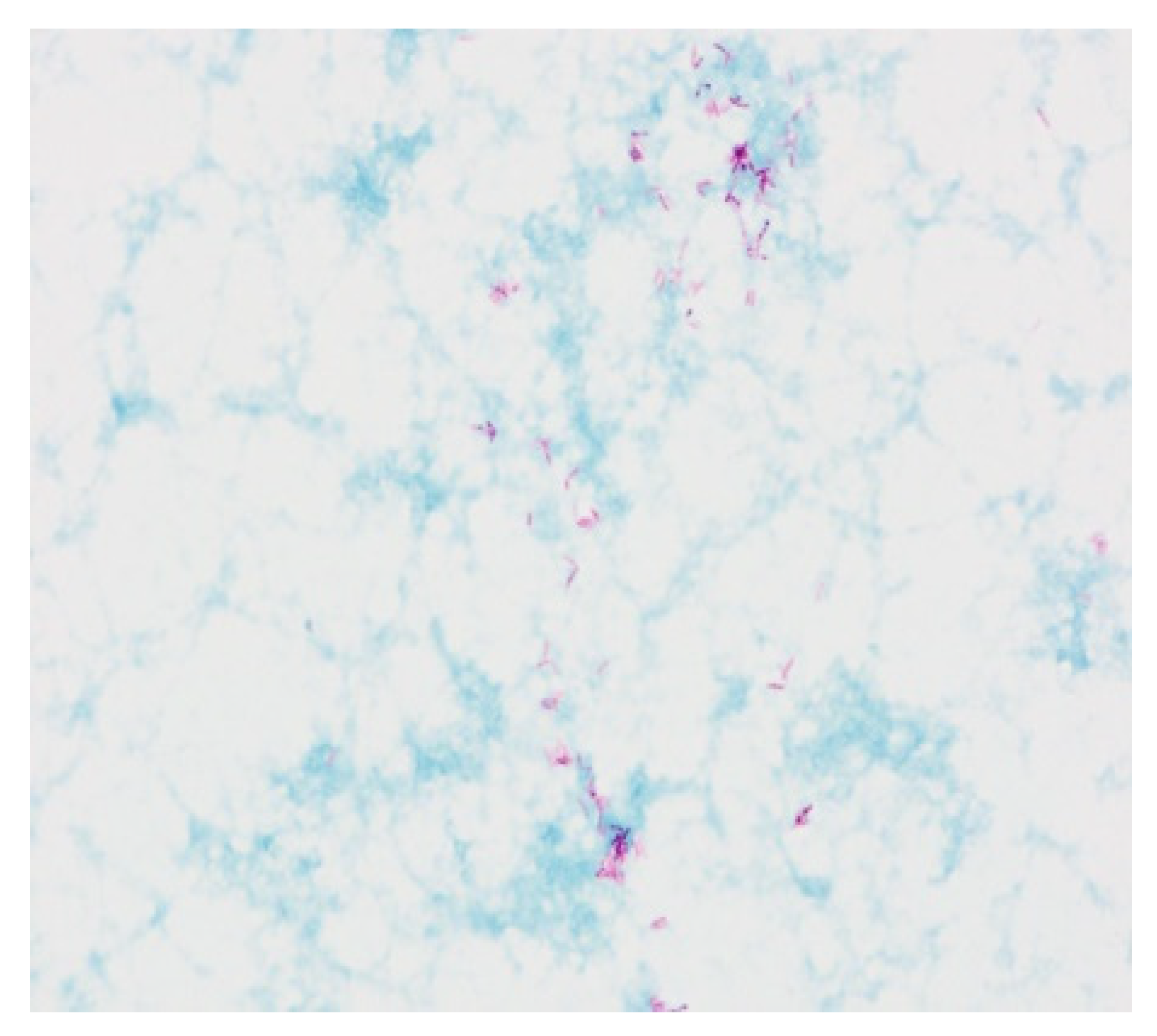 Diagnostics 12 01826 g005