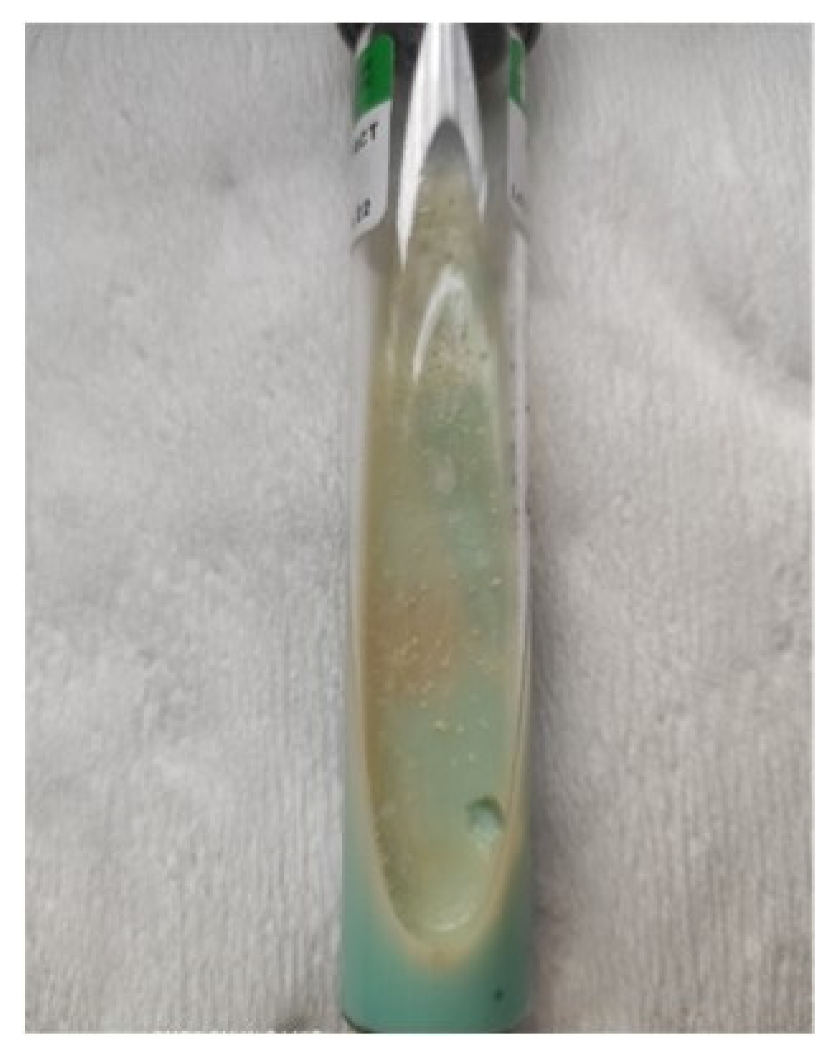 Diagnostics 12 01826 g006