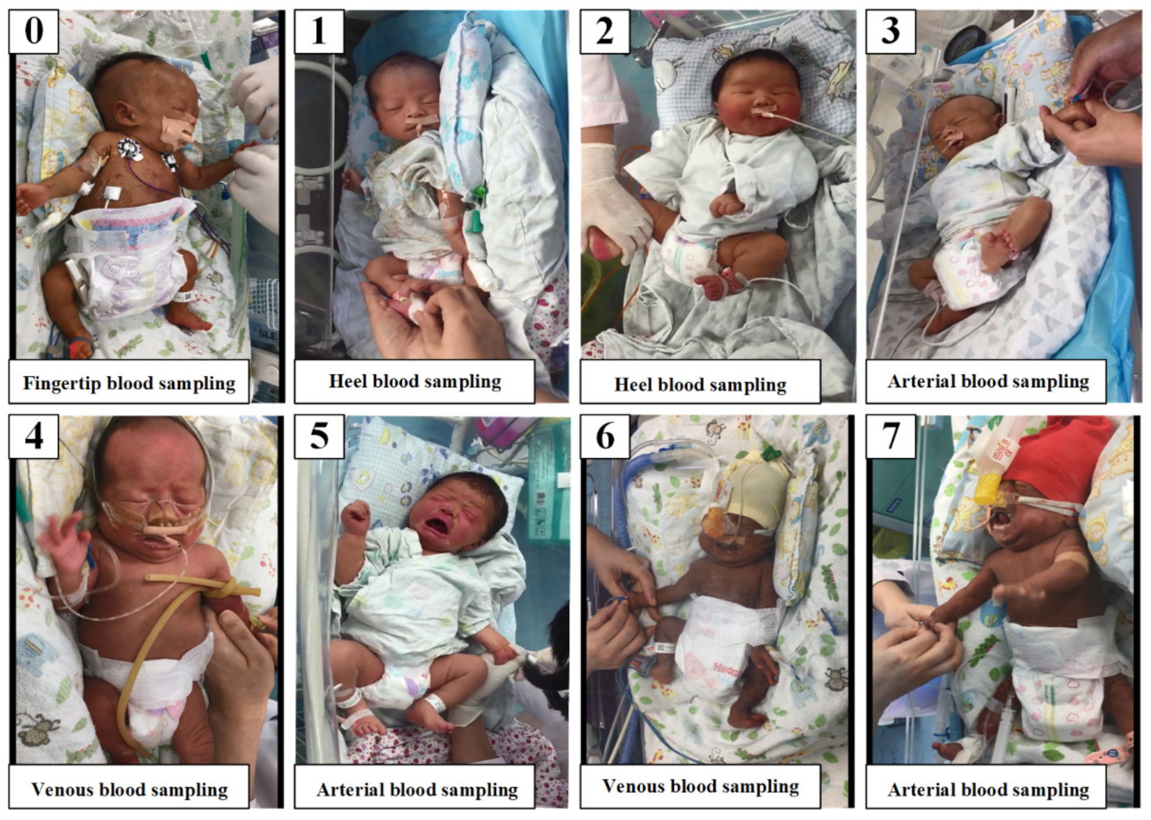 Diagnostics 12 01831 g004 550