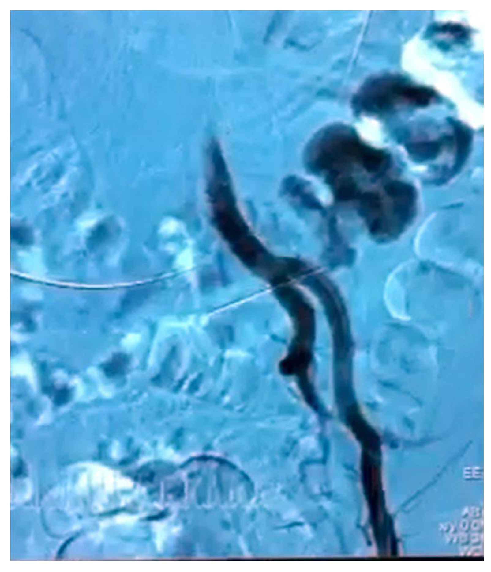 Diagnostics 12 01832 g001