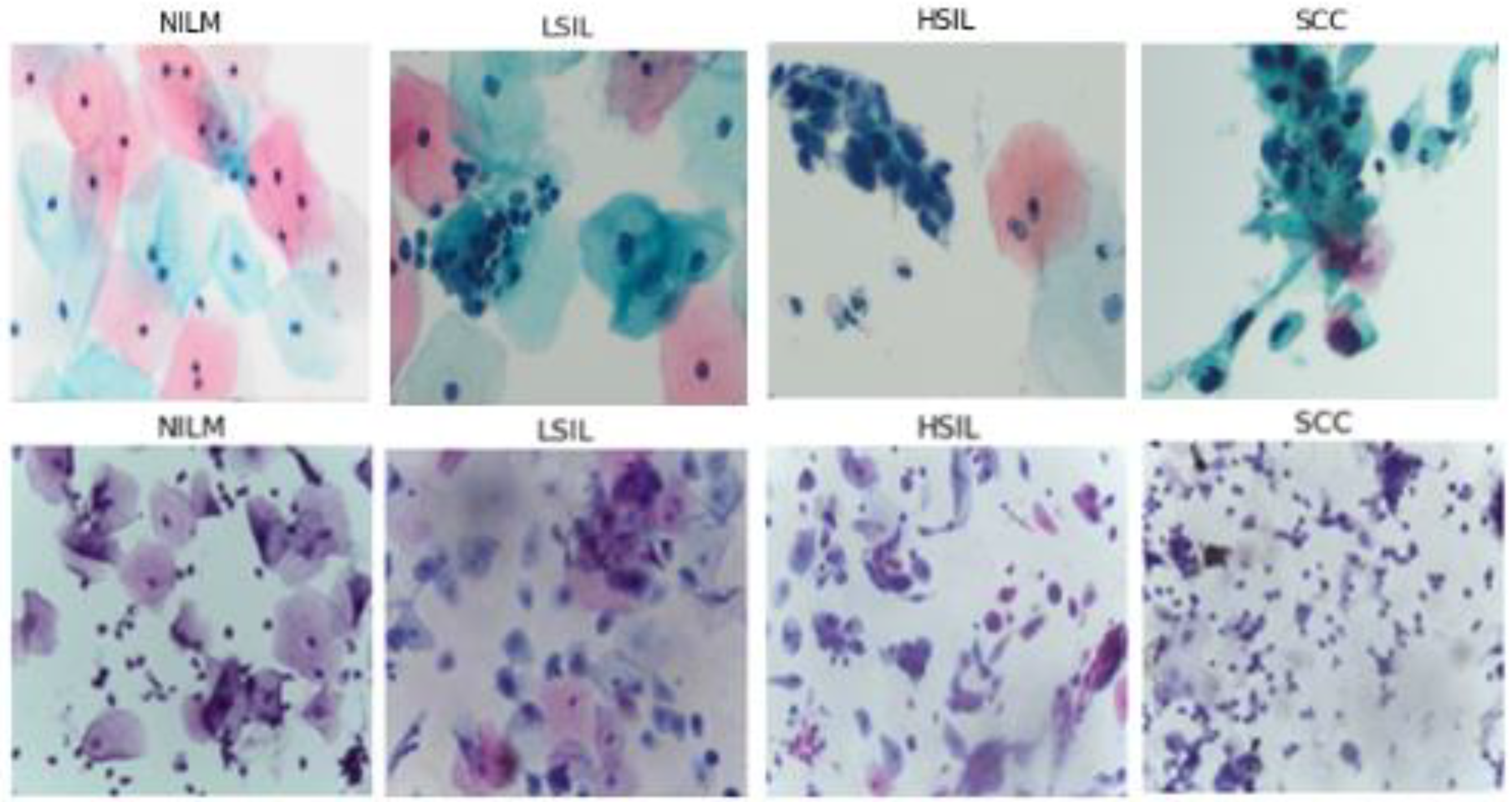 Diagnostics 12 01838 g001 550