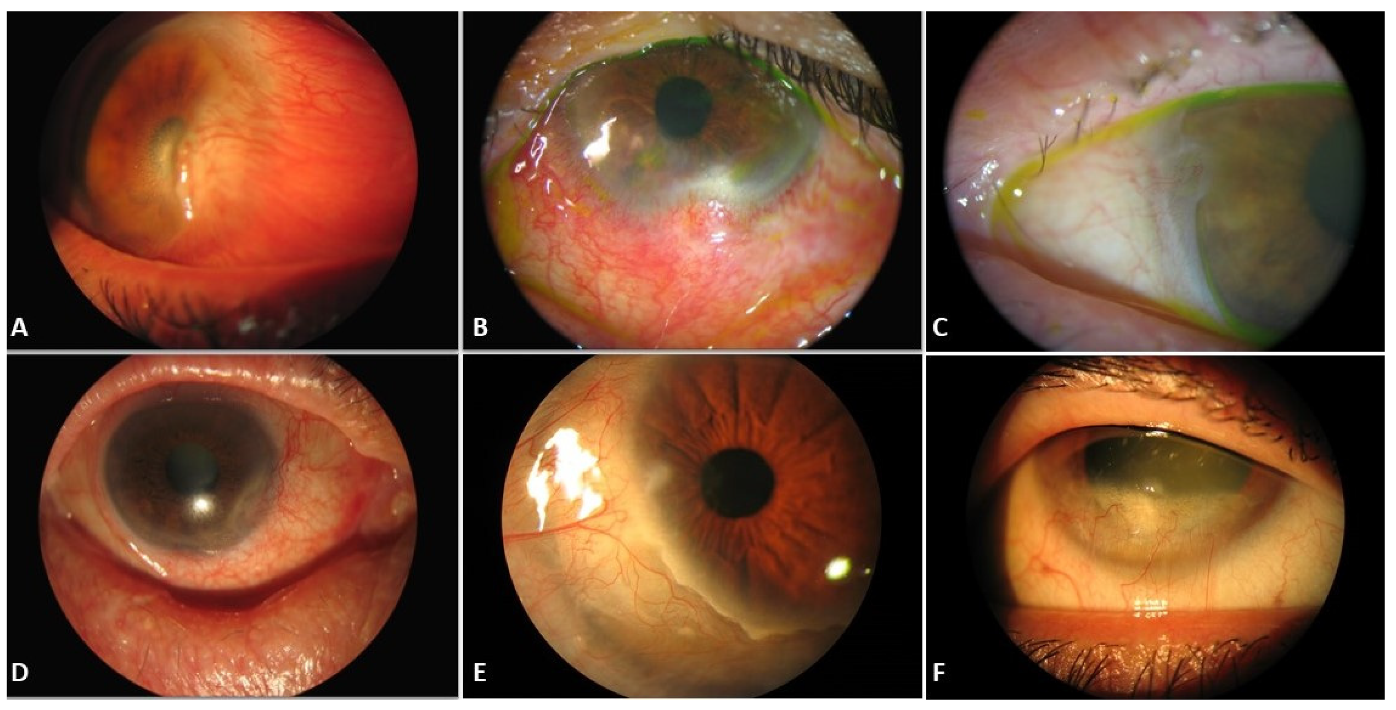 Diagnostics 12 01843 g002 Diagnostics 12 01843 g002